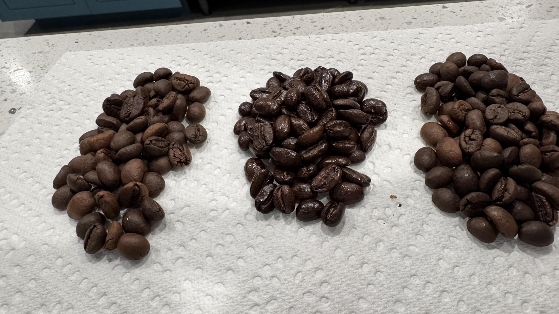 2LB Subtle Earth Organic Coffee - Medium-Dark Roast - Whole Bean Coffee - 100% Arabica Beans - Low Acidity and Non-GMO - 2lb bag customer photo 1