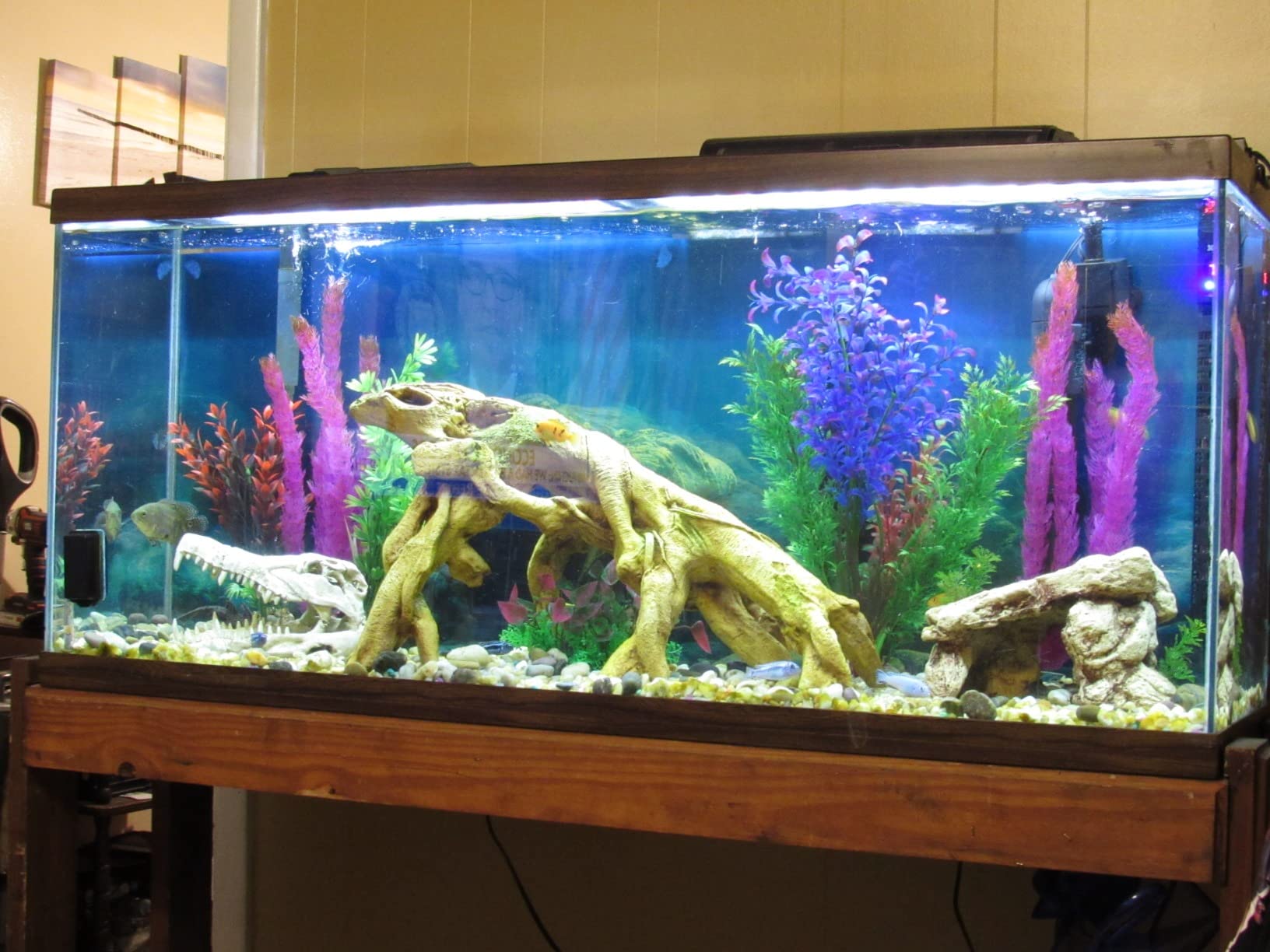 Fluval FX4 High Performance Aquarium Filter, Canister Filter for Aquariums up to 250 Gal customer photo 2