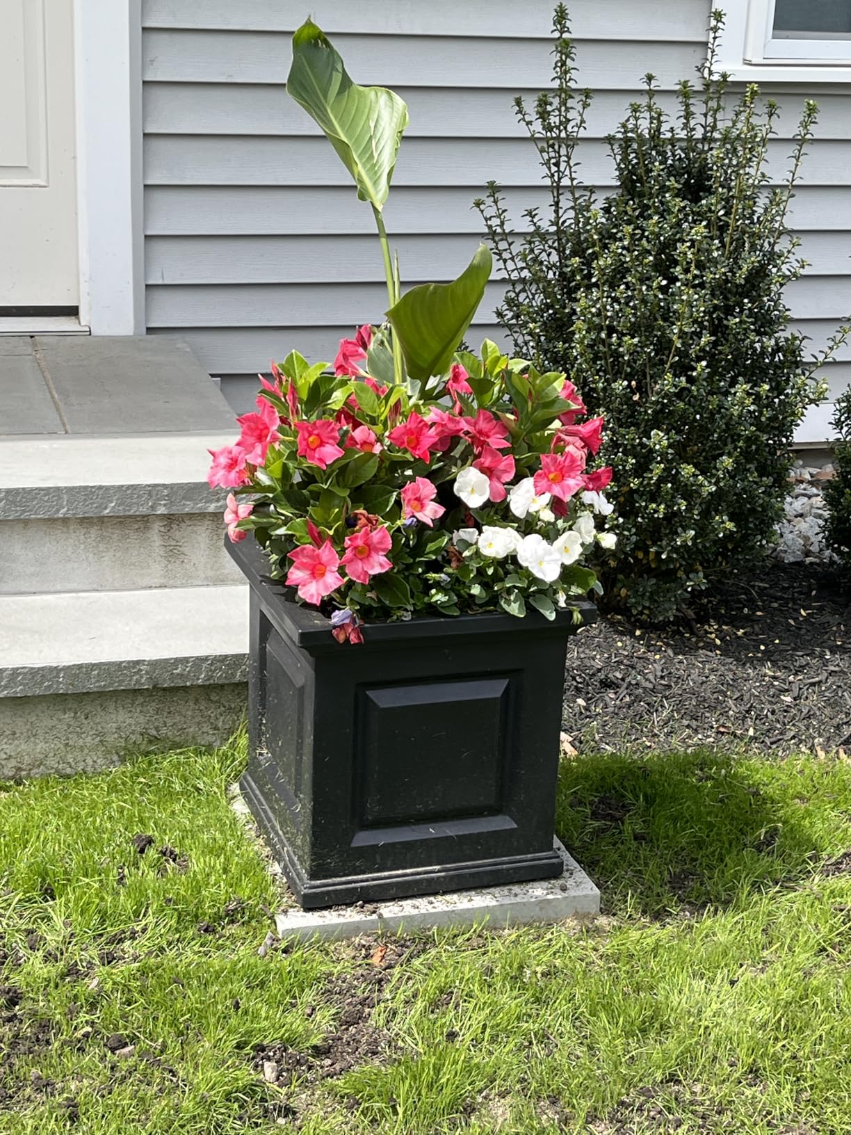 Mayne Nantucket 16-Inch Square Planter - Self-Watering, Weather-Resistant Planter for Flowers - Durable Outdoor Design for Patio, Porch, or Entryway customer photo 1