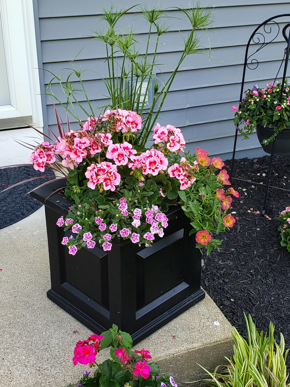 Mayne Nantucket 16-Inch Square Planter - Self-Watering, Weather-Resistant Planter for Flowers - Durable Outdoor Design for Patio, Porch, or Entryway customer photo 2