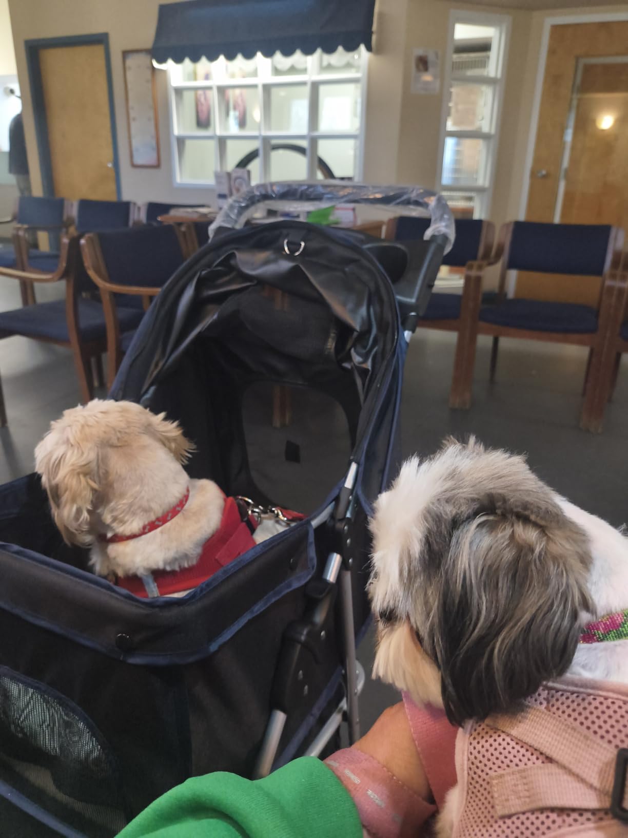 BestPet | 3-Wheel Pet Stroller | Dog and Cat Stroller | Breathable Mesh | Lightweight Travel Carrier | Waterproof & Foldable Design | Storage Basket | Black | for Daily Walks & Outdoor Use customer photo 1