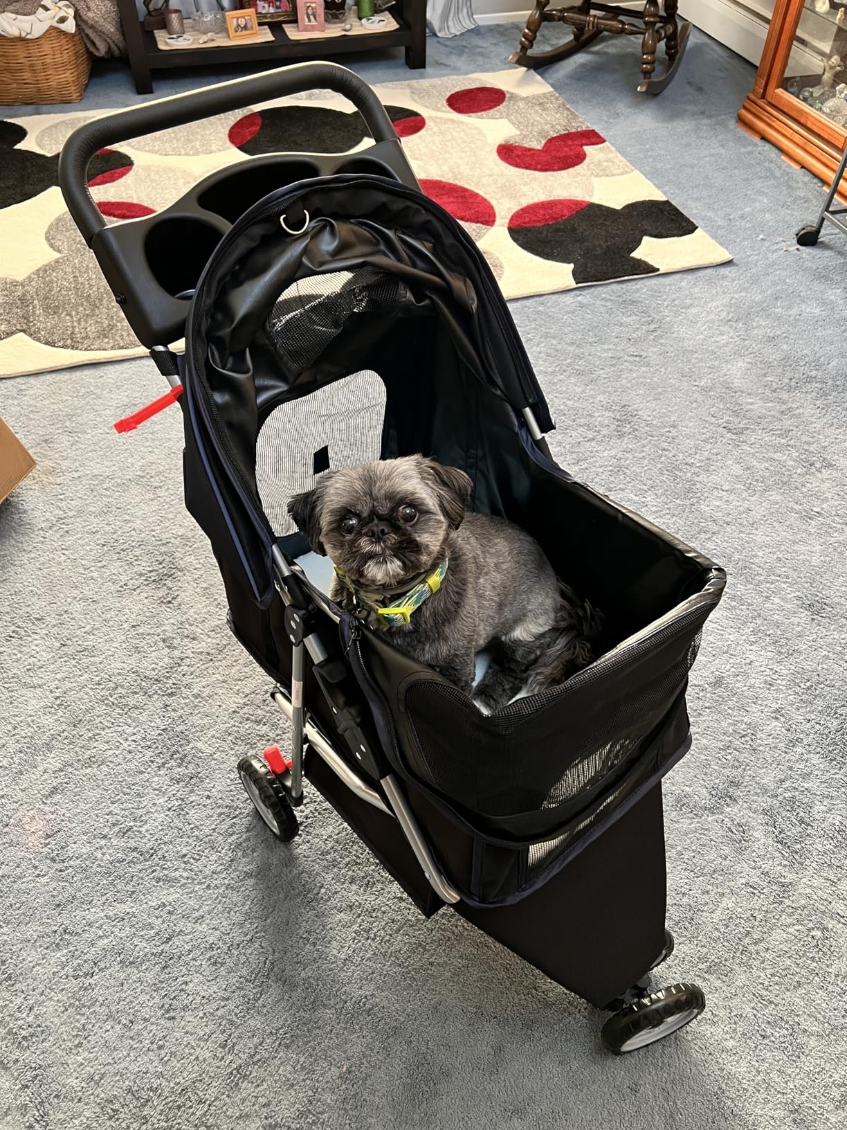 BestPet | 3-Wheel Pet Stroller | Dog and Cat Stroller | Breathable Mesh | Lightweight Travel Carrier | Waterproof & Foldable Design | Storage Basket | Black | for Daily Walks & Outdoor Use customer photo 2