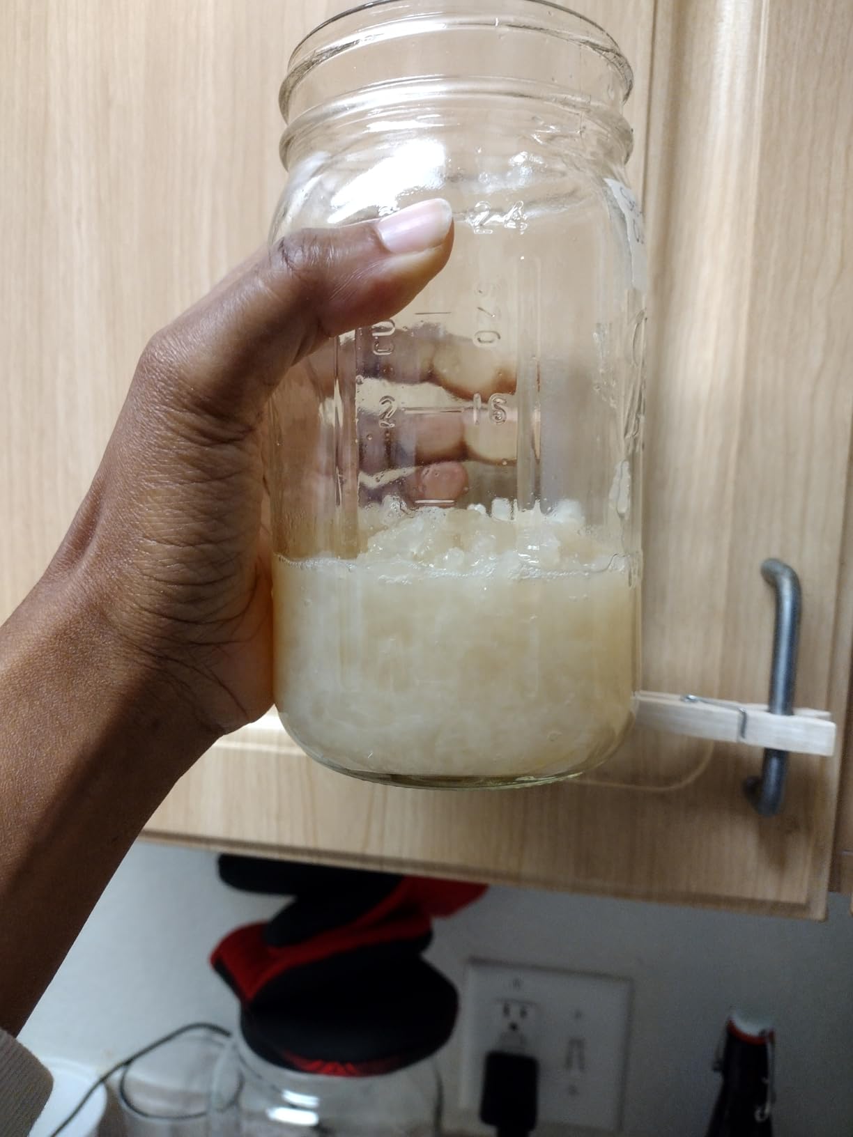 One LARGE PORTION Cup Live Florida Sun Kefir LARGE Water Kefir Grains (Tibicos) Natural Probiotics customer photo 2
