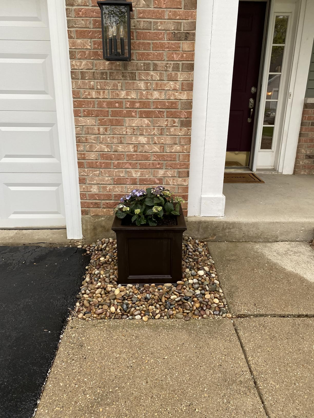 Mayne Fairfield 20-Inch Square Planter - Self-Watering, Weather-Resistant Planter for Flowers - Durable Outdoor Design for Patio, Porch, or Entryway, Espresso customer photo 1