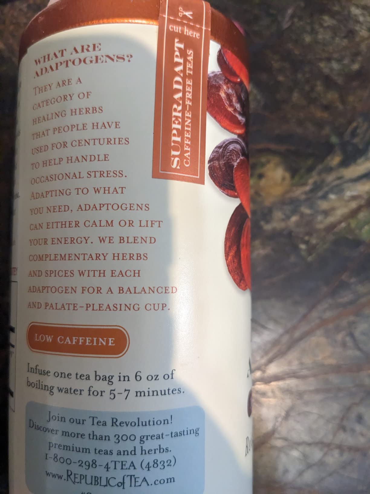 The Republic of Tea SuperShroom Calm Reishi Herbal Tea, Organic Rooibos, Cocoa and Dandelion Root Blend, Low Caffeine, Unbleached Tea Bags in Reusable Tin, 36 Count customer photo 1