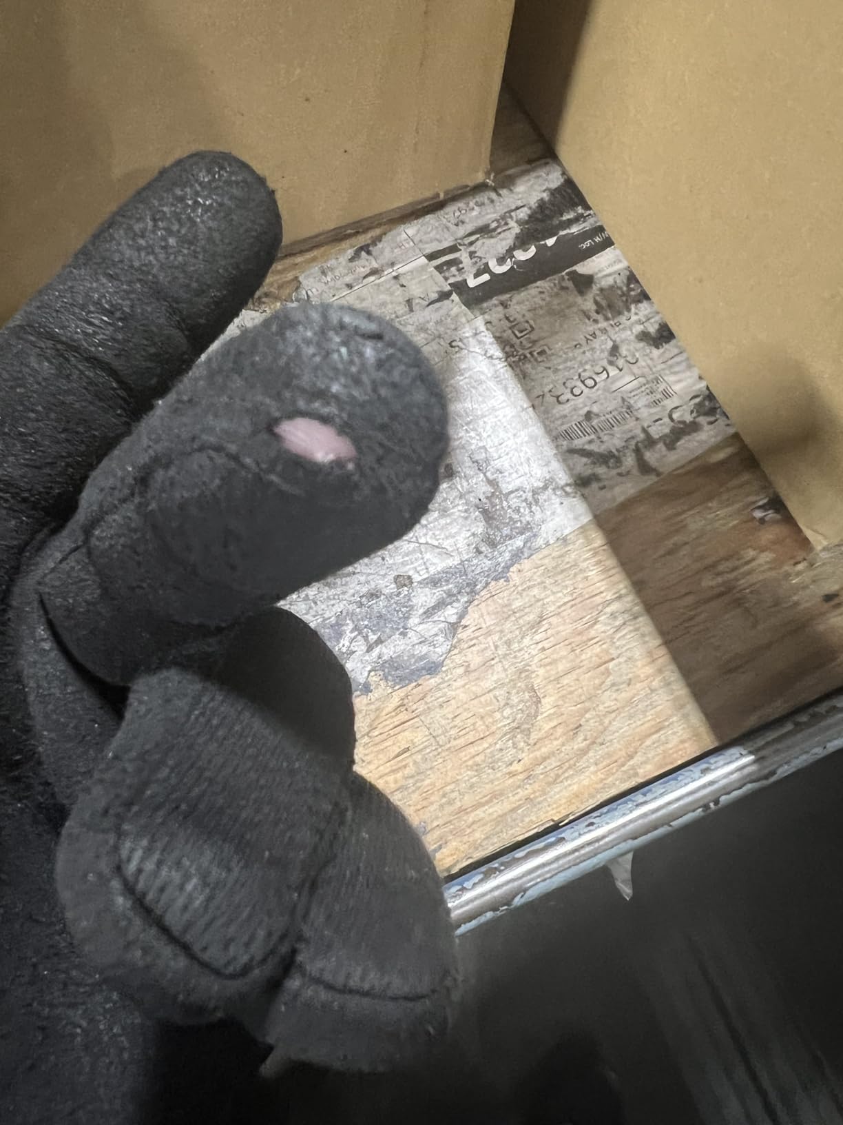 Mechanix Wear: Tactical Specialty Pursuit D5 Cut Resistant Covert Work Gloves (X-Large, All Black) customer photo 2