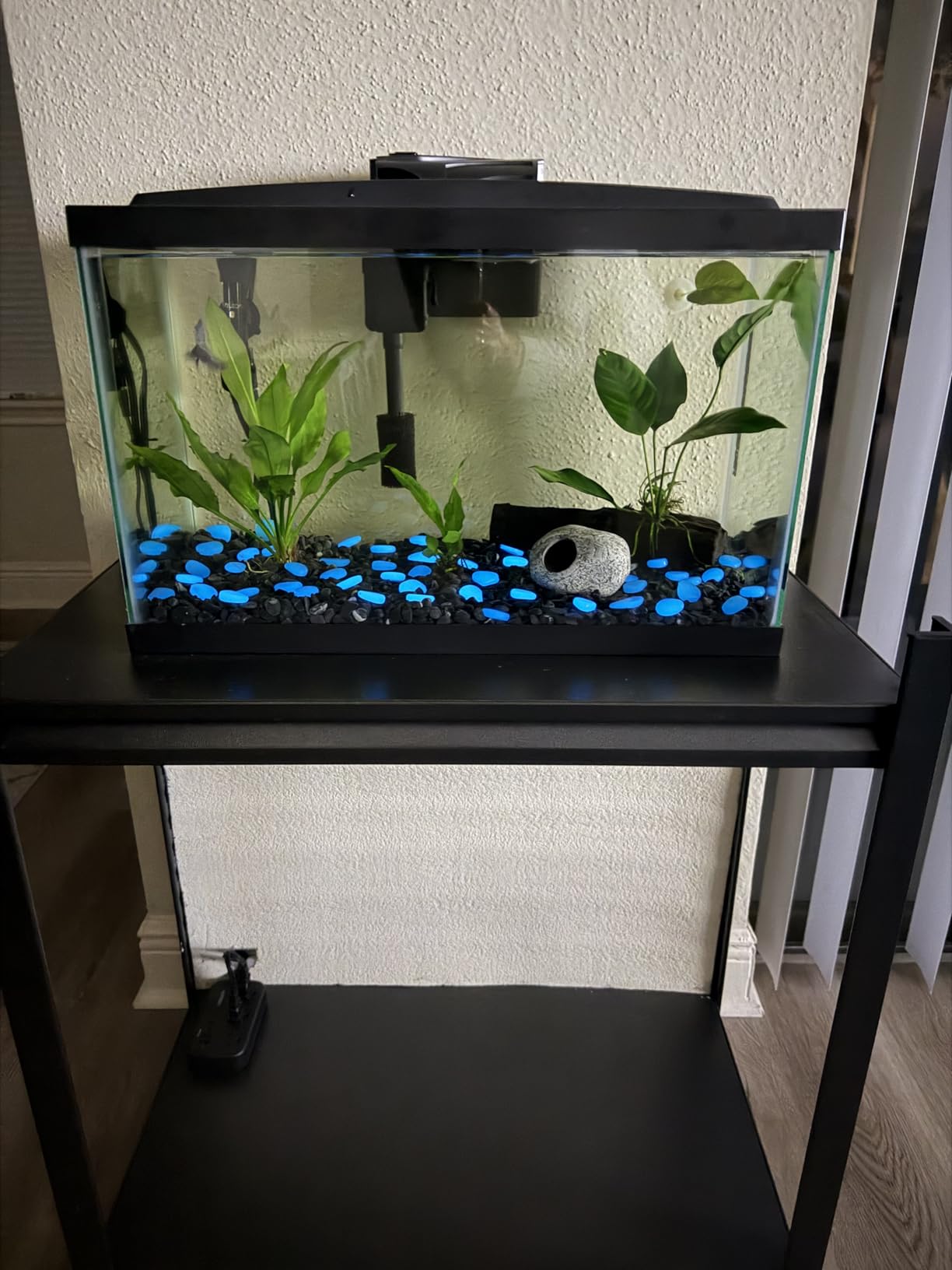 Aqueon Aquarium Fish Tank Starter Kit with LED Lighting 10 Gallon Fish Tank customer photo 1