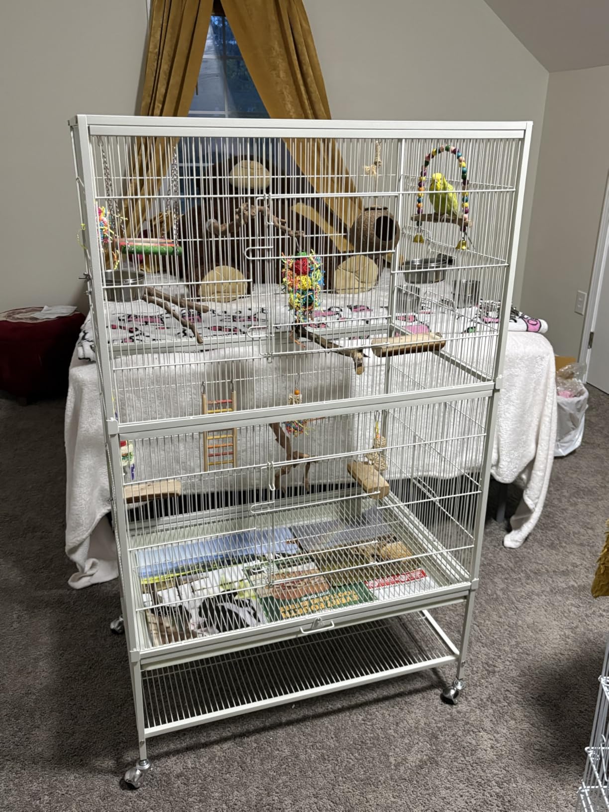 Prevue Pet Products Wrought Iron Bird Flight Cage with Wheels - Large Birdcage for Parakeets, Canaries, Finches, Cockatiels, Lovebirds, Green Cheeks, Metal Standing Birdcage - Chalk White customer photo 1