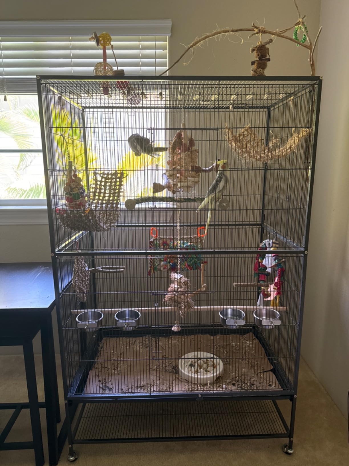 Prevue Pet Products Wrought Iron Bird Flight Cage with Wheels - Large Birdcage for Parakeets, Canaries, Finches, Cockatiels, Lovebirds, Green Cheeks, Metal Standing Birdcage - Chalk White customer photo 2