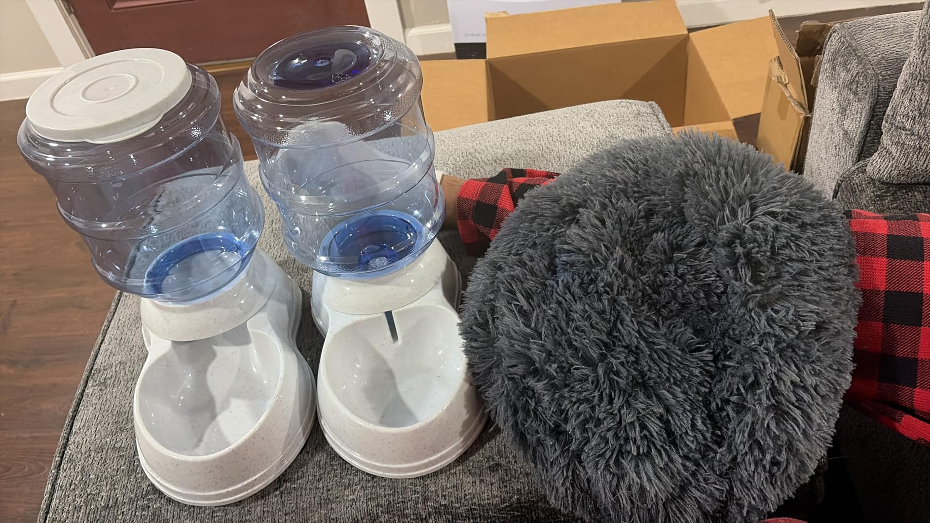 Amazon Basics Automatic Pet Water Dispenser and Gravity Food Feeder Set for Cat and Dog, Easy to Clean, 6-Pound Food Capacity, 1-Gallon, Small, Gray, Pack of 2 customer photo 2