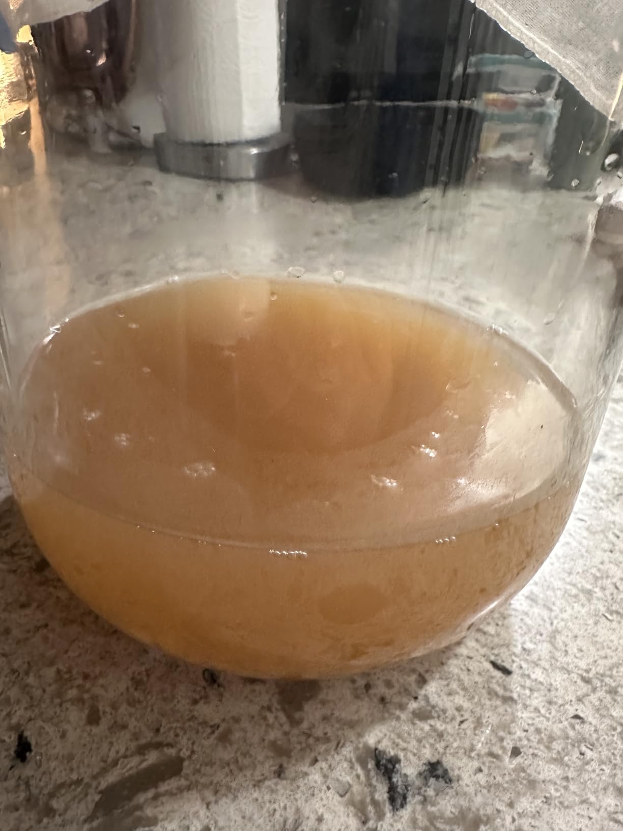Yemoos Dried Authentic Water Kefir Grains customer photo 1