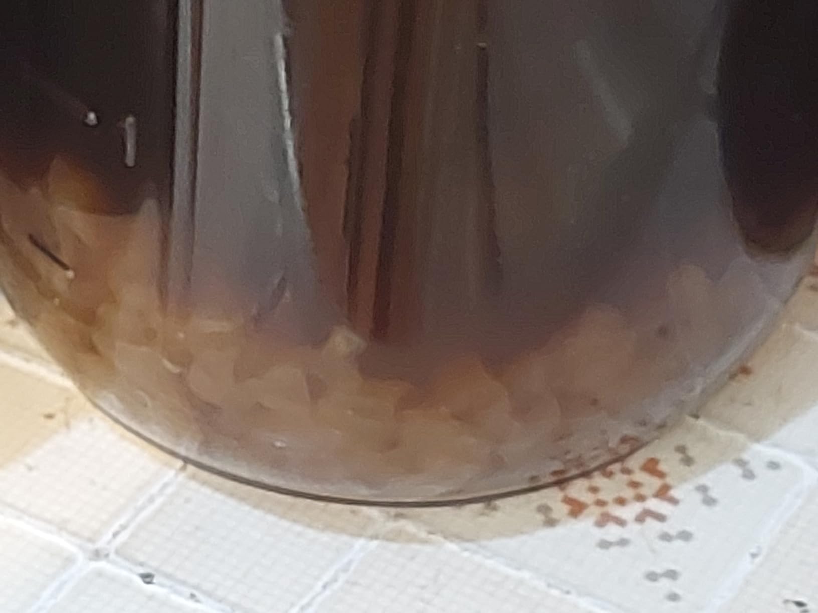 Yemoos Dried Authentic Water Kefir Grains customer photo 2