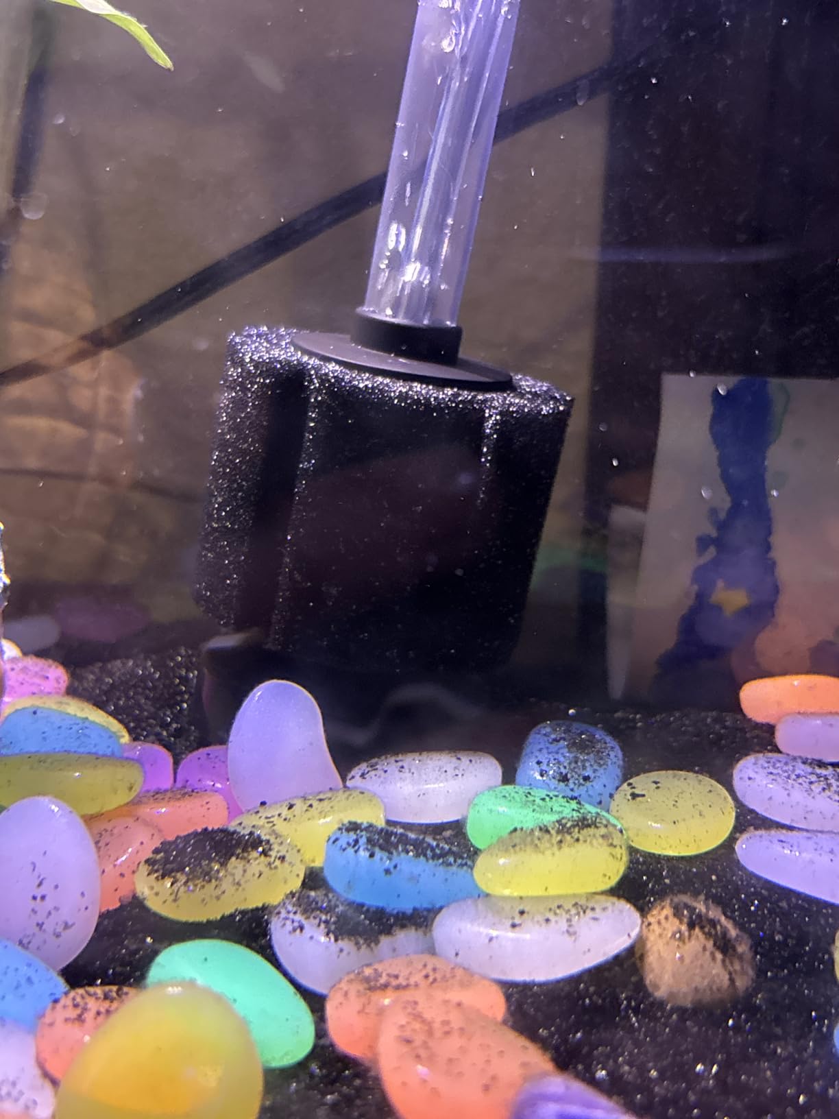 AQUANEAT Aquarium Bio Sponge Filter Breeding Fry Betta Shrimp Nano Fish Tank (Large up to 60Gal) customer photo 1