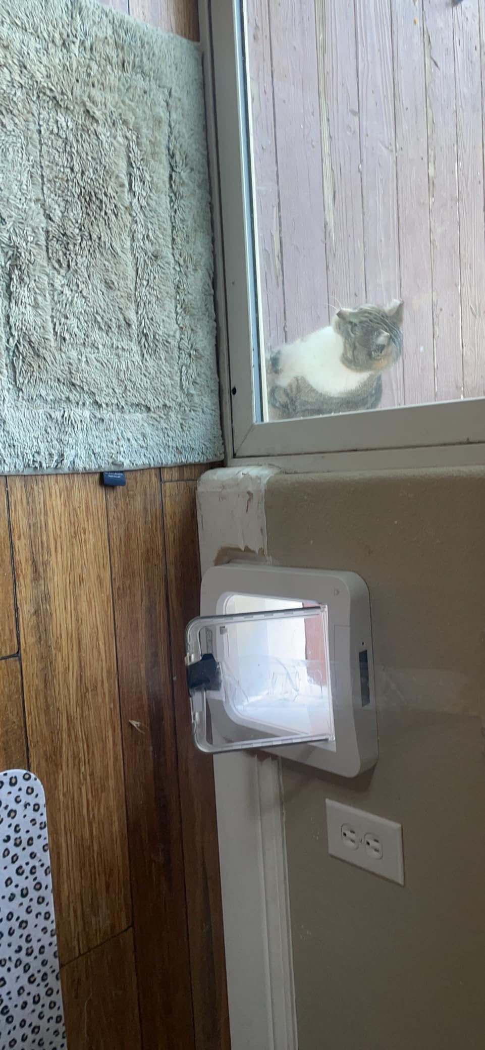 SureFlap Microchip Pet Door Connect Without Hub - Flap Opening is 6 11/16 inches by 7 inches customer photo 1