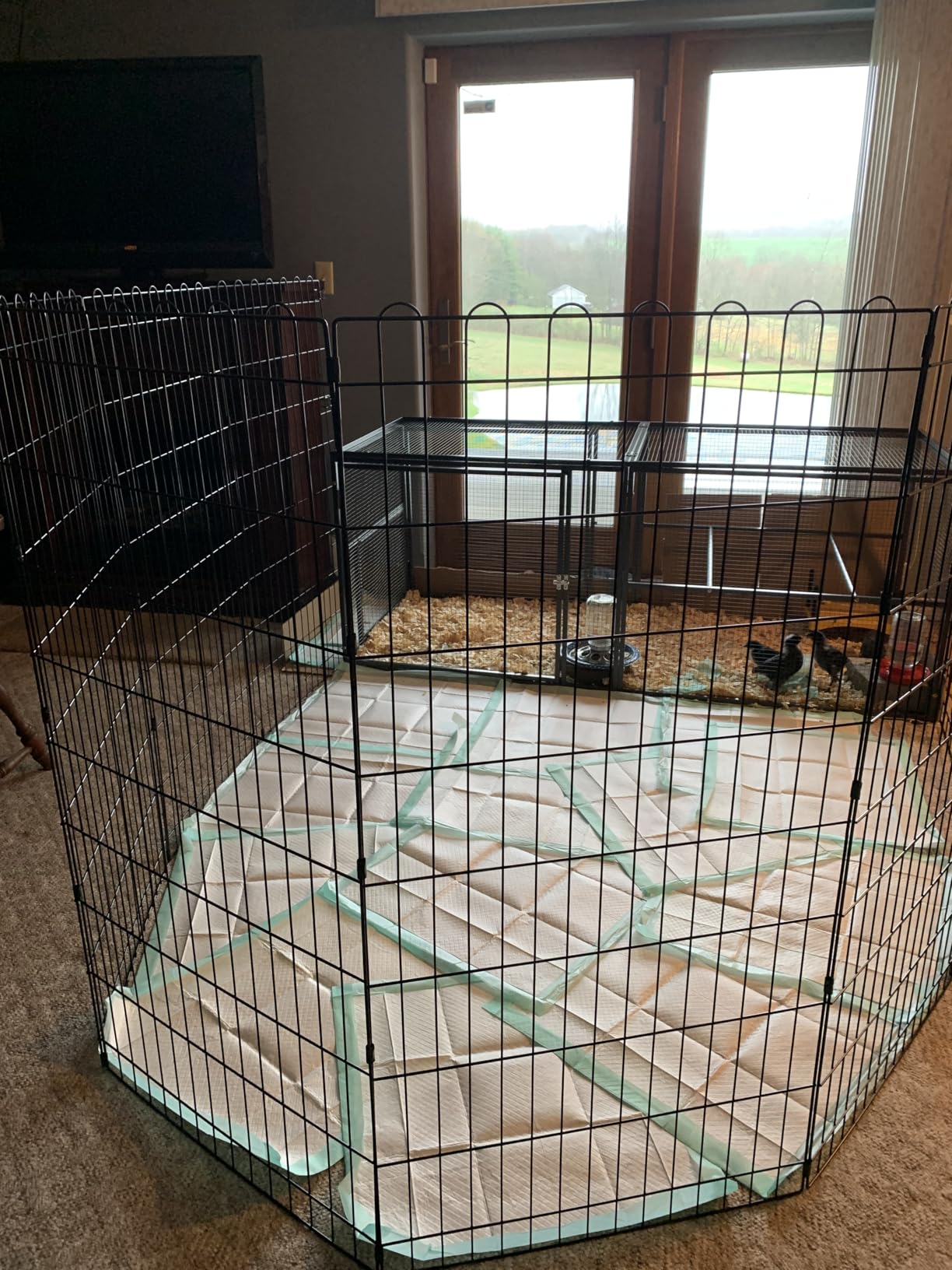 Amazon Basics Foldable Octagonal Metal Exercise Dog Playpen, Indoor/Outdoor Pet Fence, No Door, 8 Panels, Extra Small, 24 x 24 Inches, Black customer photo 1