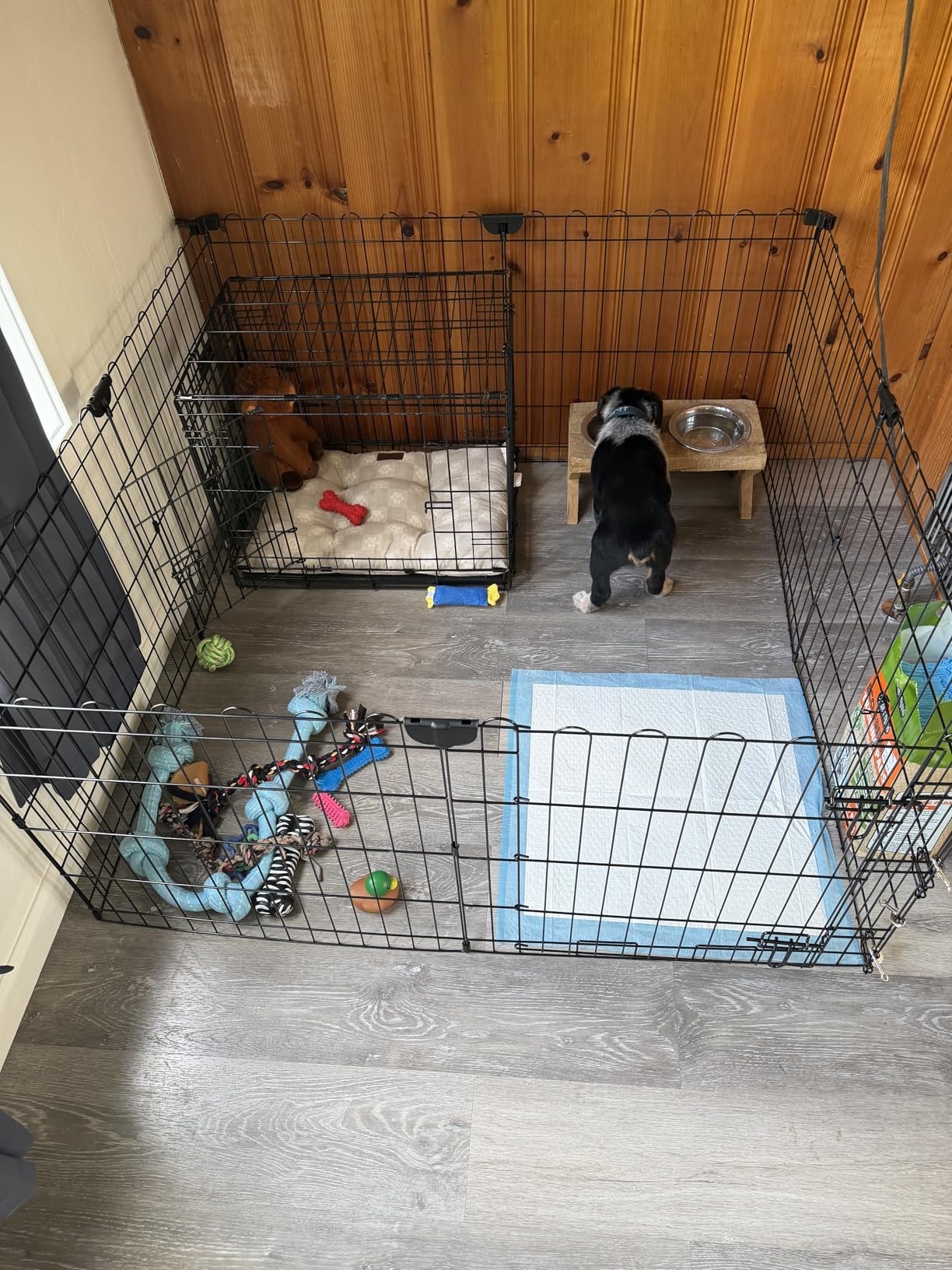 Amazon Basics Foldable Octagonal Metal Exercise Dog Playpen, Indoor/Outdoor Pet Fence, No Door, 8 Panels, Extra Small, 24 x 24 Inches, Black customer photo 2