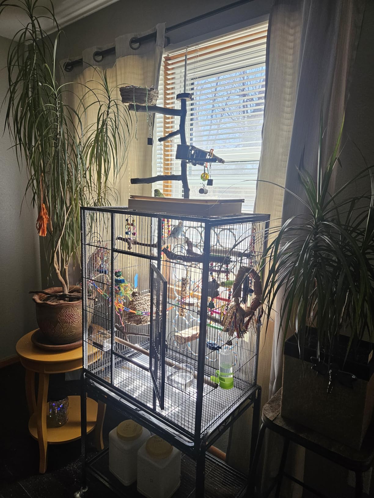 ZENY 53-Inch Bird Flight Cage, Wrought Iron Standing Large with Rolling Stand for Cockatiels Pet Parrot Parakeet Lovebird Canary Finch (Black) customer photo 1