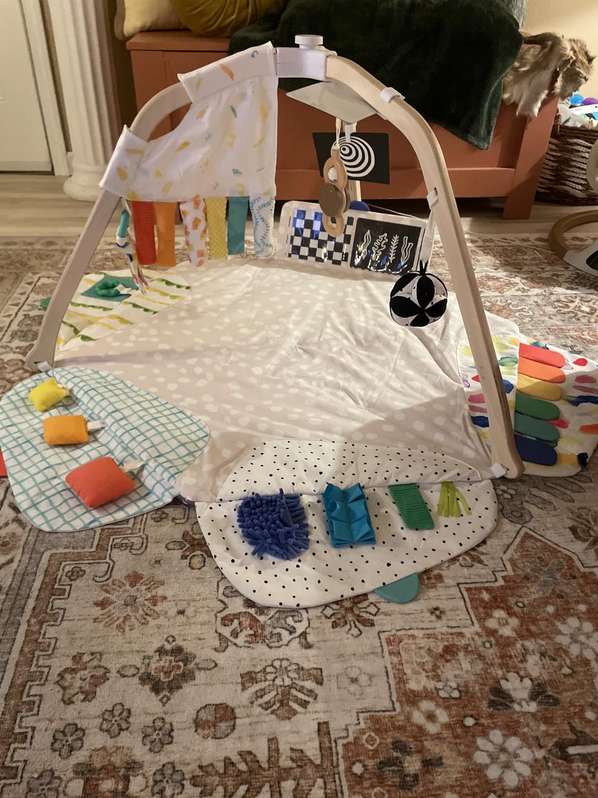 LOVEVERY | The Play Gym | Award Winning For Baby, Stage-Based Developmental Activity Gym & Play Mat for Baby to Toddler customer photo 1