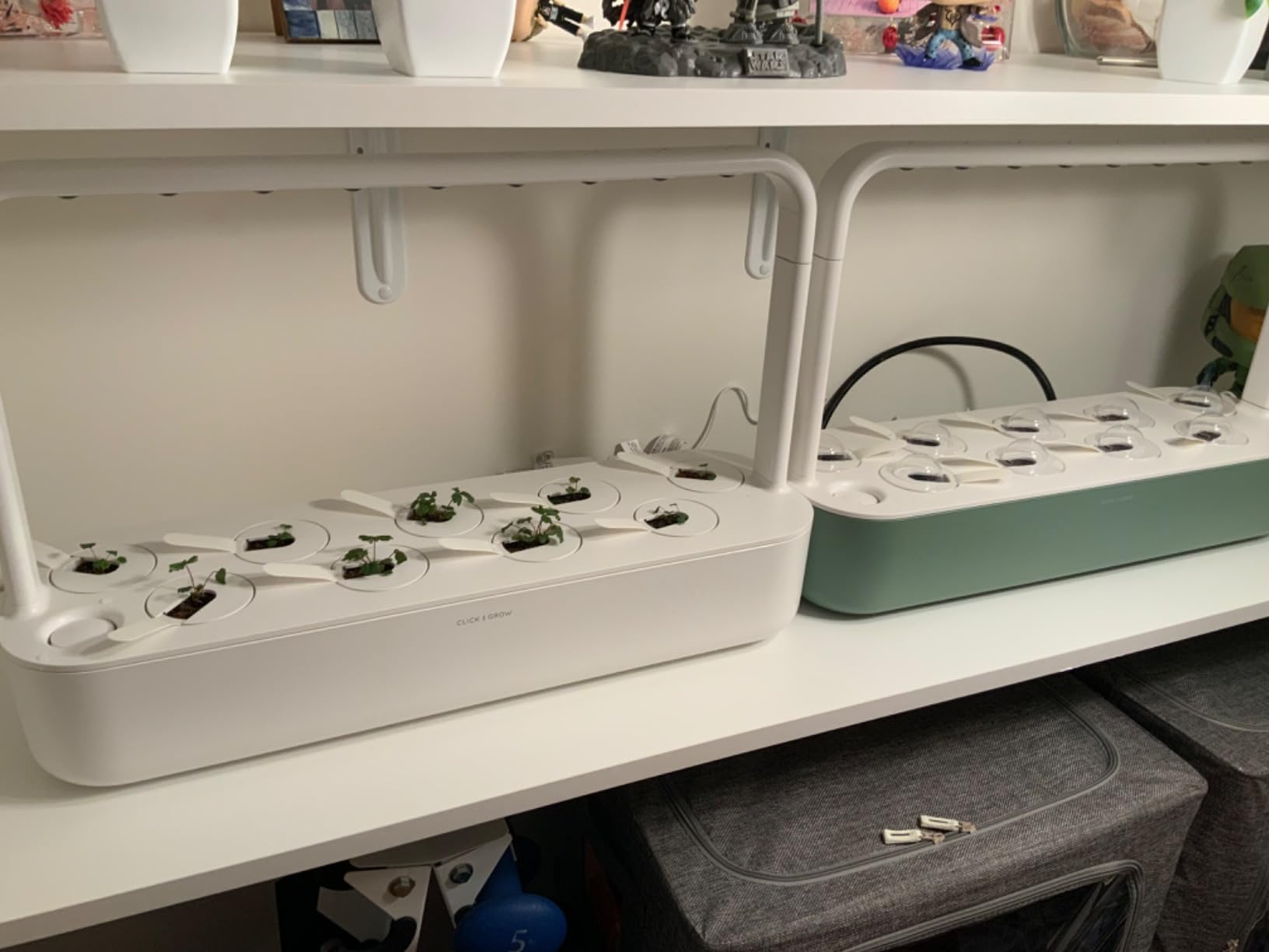 Click & Grow Indoor Herb Garden Kit with Grow Light | Easier Than Hydroponics Growing System | Smart Garden for Home Kitchen Windowsill | Vegetable & Herb Garden Starter Kit with 9 Plant pods, White customer photo 1