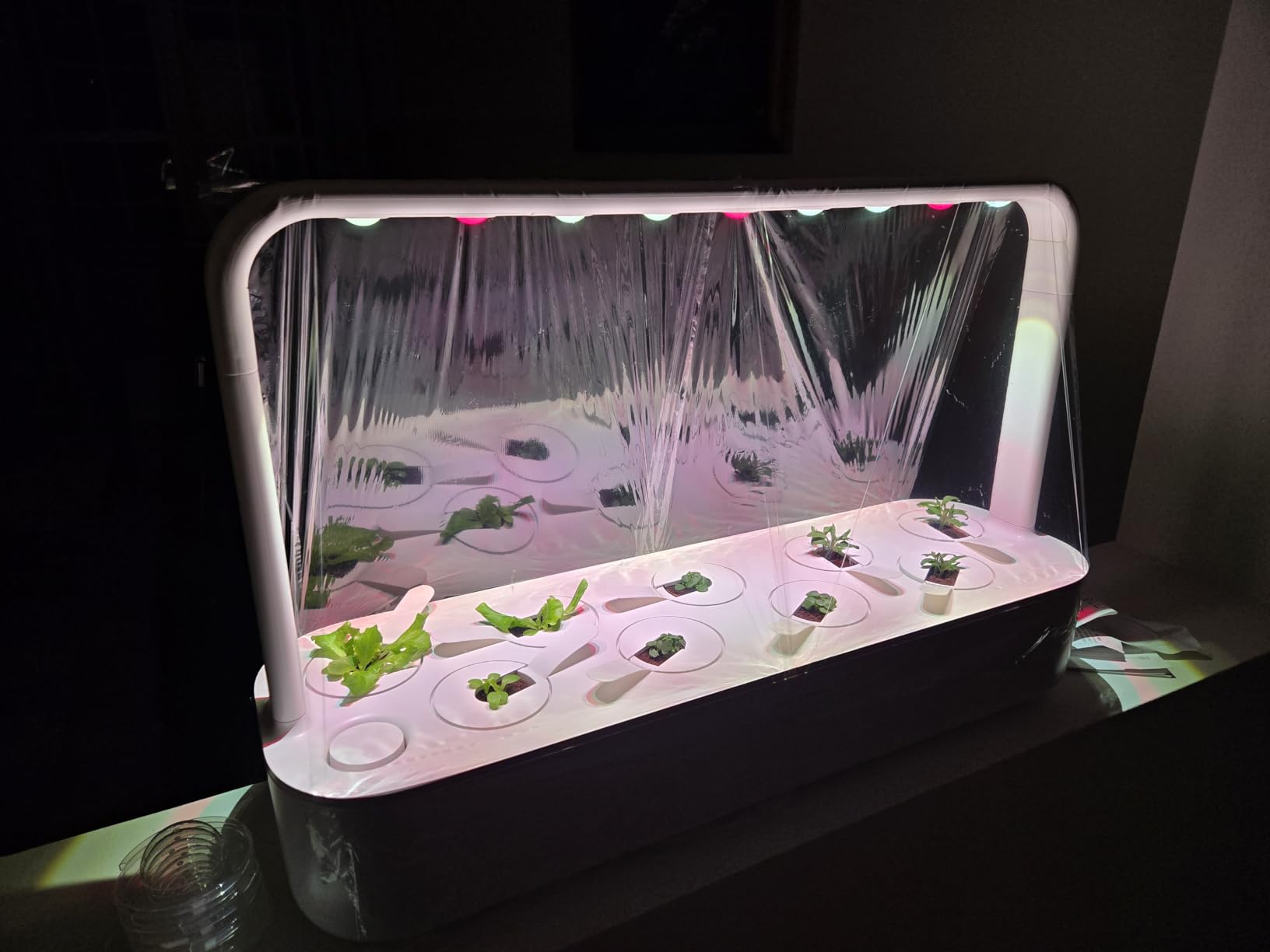 Click & Grow Indoor Herb Garden Kit with Grow Light | Easier Than Hydroponics Growing System | Smart Garden for Home Kitchen Windowsill | Vegetable & Herb Garden Starter Kit with 9 Plant pods, White customer photo 2