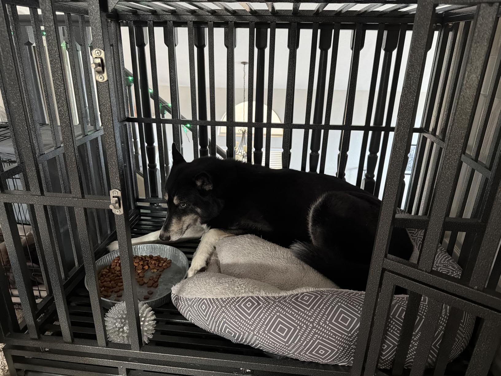LUCKUP Heavy Duty Dog Cage Metal Kennel and Crate for Medium and Large Dogs, Pet Playpen with Four Wheels, Easy to Install, 42 inch, Black customer photo 2