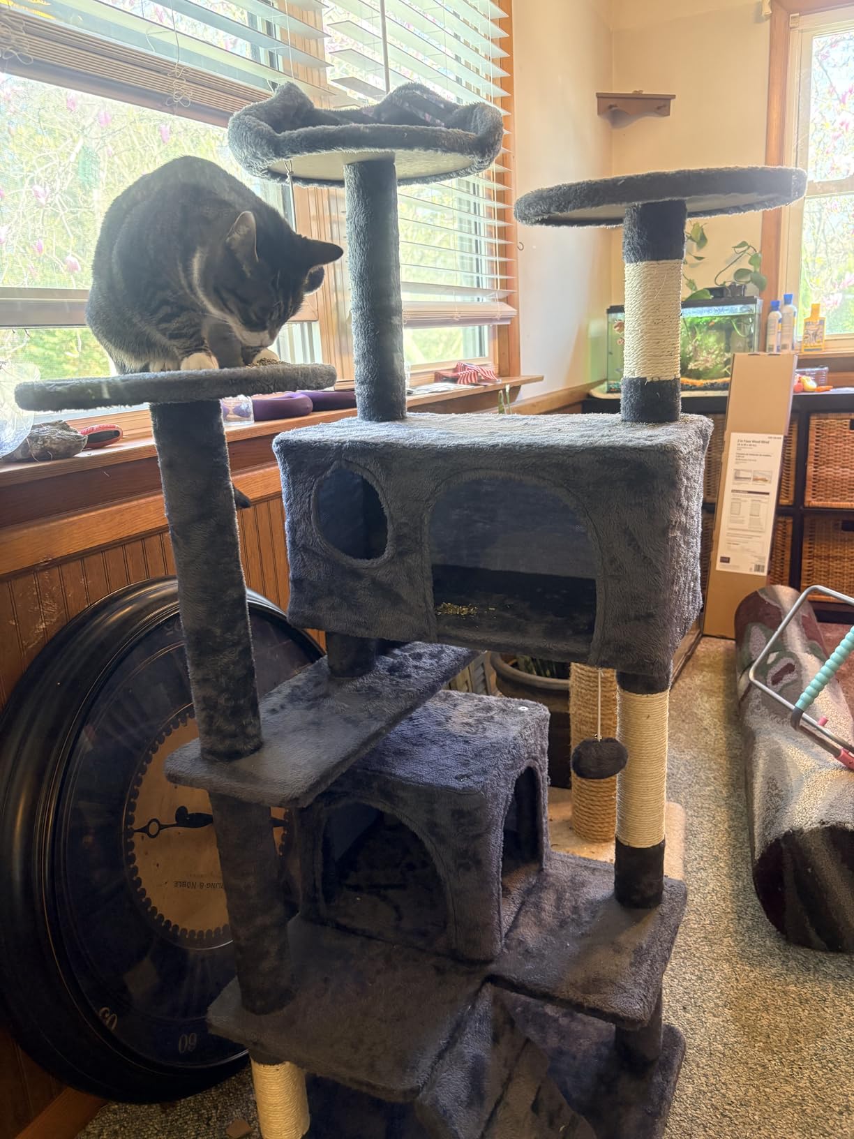 Yaheetech 54in Cat Tree, Multi-Level Cat Tower with Spacious Kitten-ear Perch, 2 Cozy Caves, Scratching Posts, Climbing Ladder, 2 Plush Balls, Durable Pet House Furniture for Indoor Kittens, Dark Gray customer photo 1