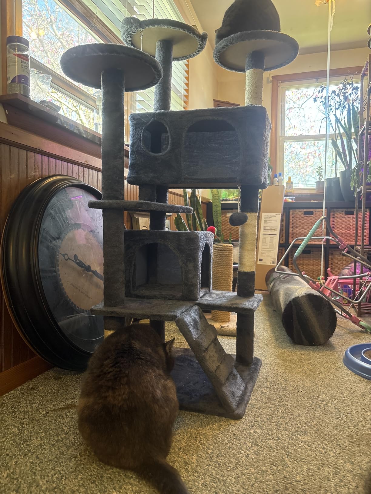 Yaheetech 54in Cat Tree, Multi-Level Cat Tower with Spacious Kitten-ear Perch, 2 Cozy Caves, Scratching Posts, Climbing Ladder, 2 Plush Balls, Durable Pet House Furniture for Indoor Kittens, Dark Gray customer photo 2