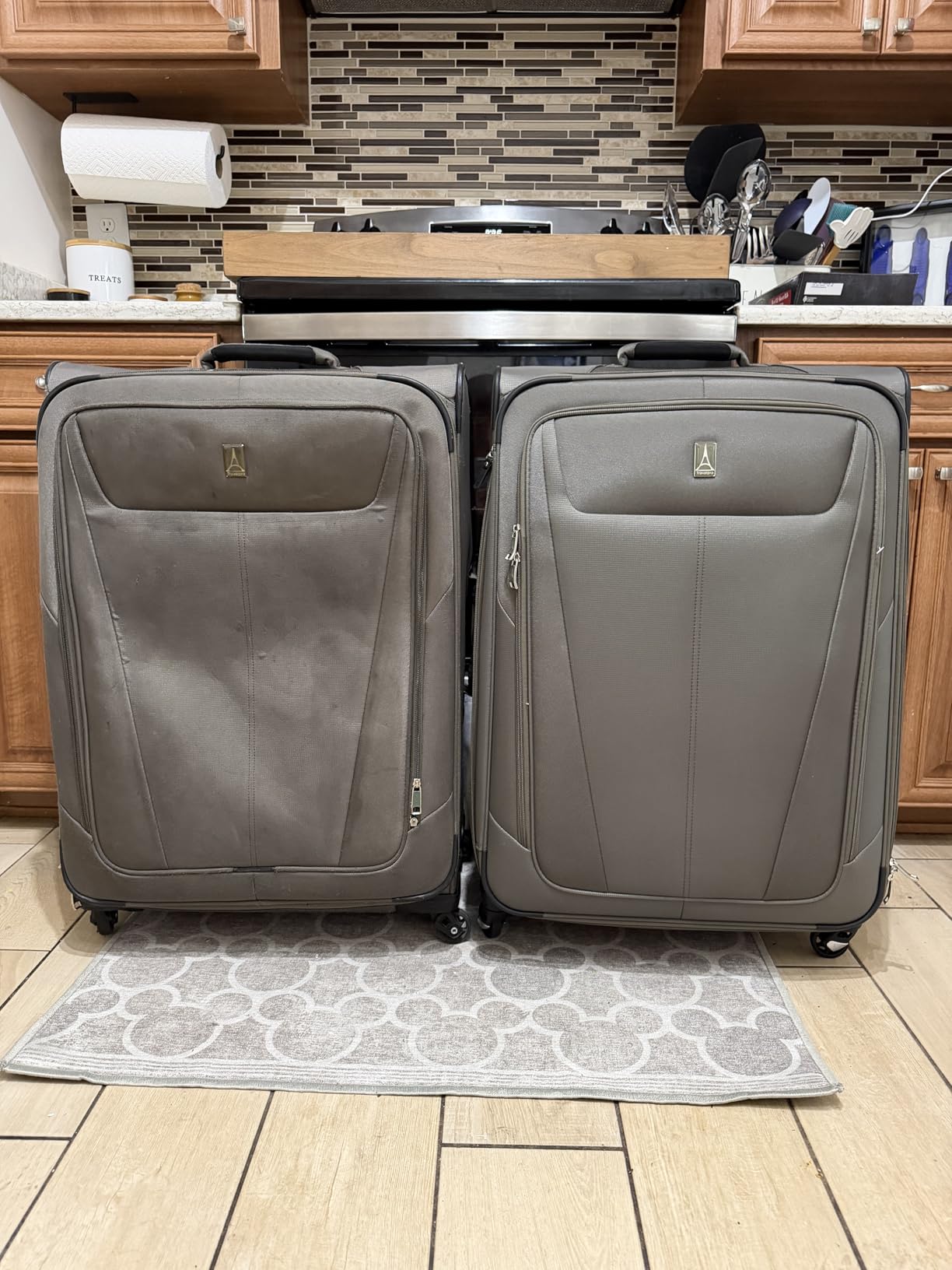 Maxlite 5 Softside Expandable Luggage with 4 Spinner Wheels, Lightweight Suitcase, Men and Women, Slate Green, Checked-Medium 25-Inch customer photo 1