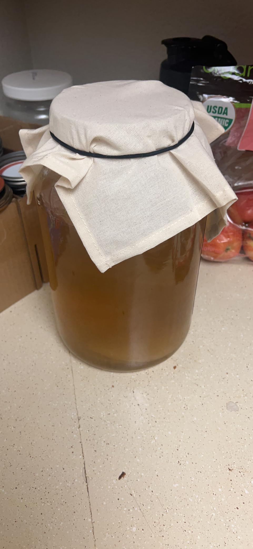 Kombucha Essentials Kit - Includes USDA Organic Kombucha SCOBY + 1-Gallon Glass Fermenting Jar with Breathable Cover + pH Strips + Rubber Band + Adhesive Thermometer customer photo 1