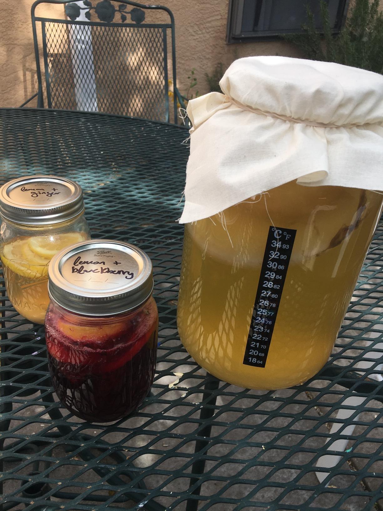 Kombucha Essentials Kit - Includes USDA Organic Kombucha SCOBY + 1-Gallon Glass Fermenting Jar with Breathable Cover + pH Strips + Rubber Band + Adhesive Thermometer customer photo 2