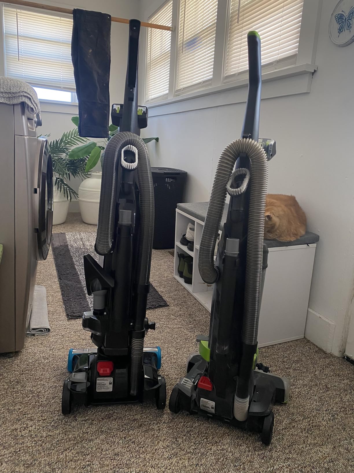 Bissell 2254 CleanView Swivel Rewind Pet Upright Bagless Vacuum, Automatic Cord Rewind, Swivel Steering, Powerful Pet Hair Pickup, Specialized Pet Tools, Large Capacity Dirt Tank, Teal customer photo 2