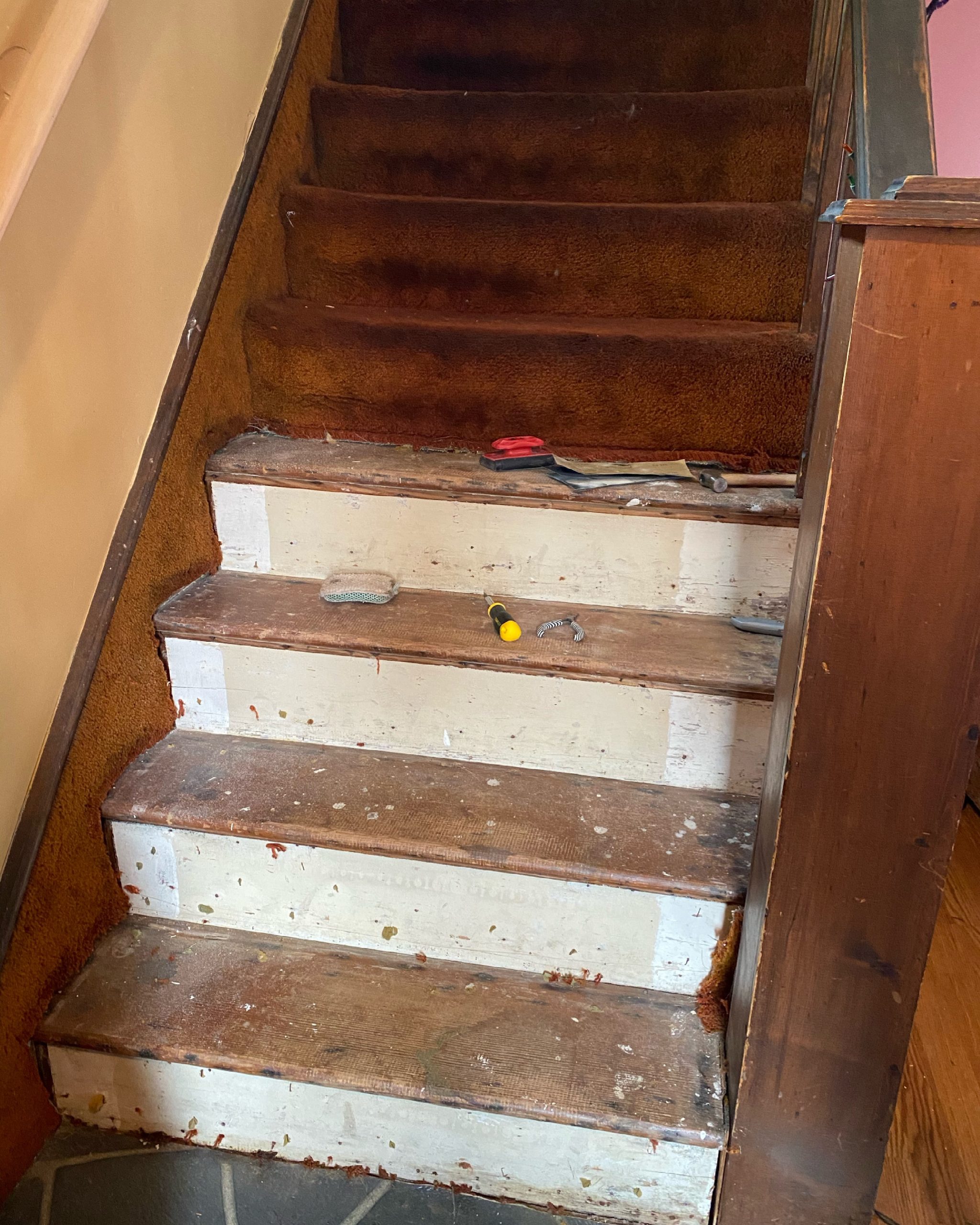 SKIL Corded Detail Sander, Includes 3pcs Sanding Paper and Dust Box - SR250801 customer photo 1