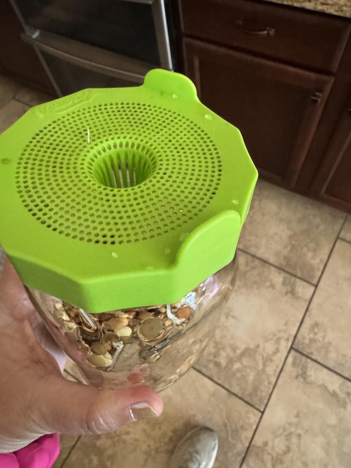 Masontops Bean Screen Sprouts Growing Kit - Sprouting Lids & Sprout Mixes Microgreens Growing Kit - Sprouting Kit Wide Mouth Mason Jar Strainer Lid customer photo 2
