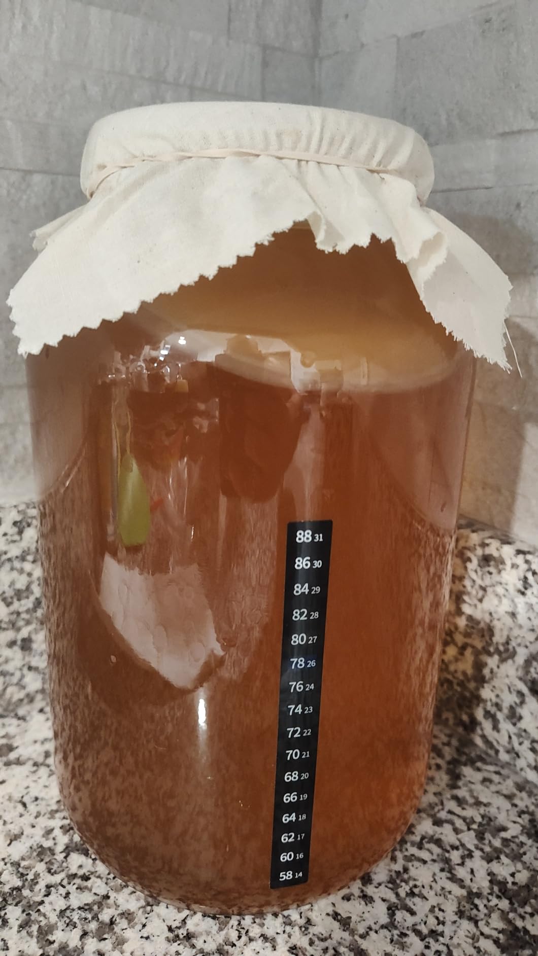 Kombucha Starter Kit - Includes Organic SCOBY, Starter Liquid, 1 Gallon Glass Jar, Temp Gauge, Tea, and Sugar customer photo 2
