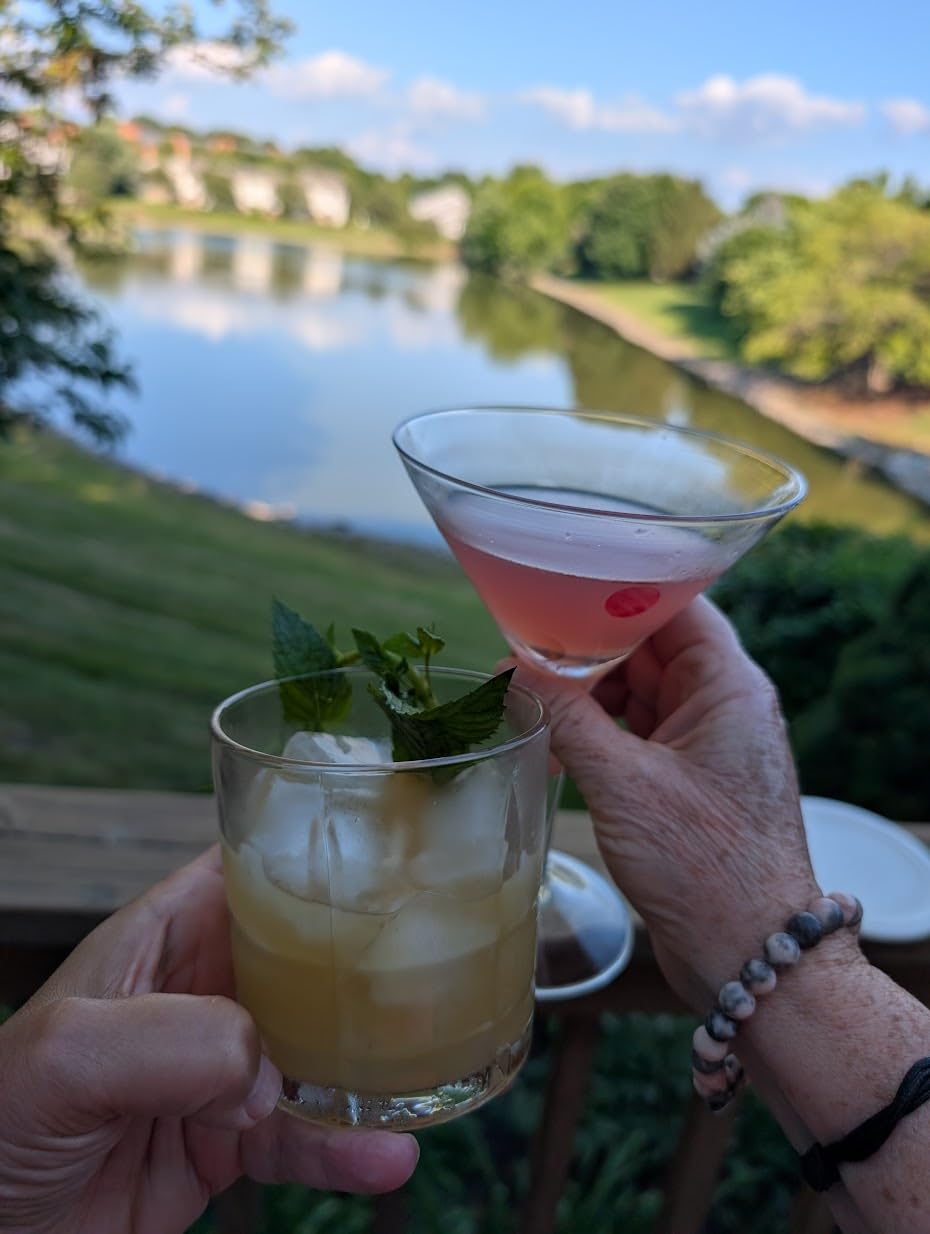 SEEDLIP Grove 42 - Non-Alcoholic Spirit | Calorie Free, Sugar Free | Spirit Alternative | Non-Alcoholic Cocktails | 23.7 fl oz (700ml) customer photo 1