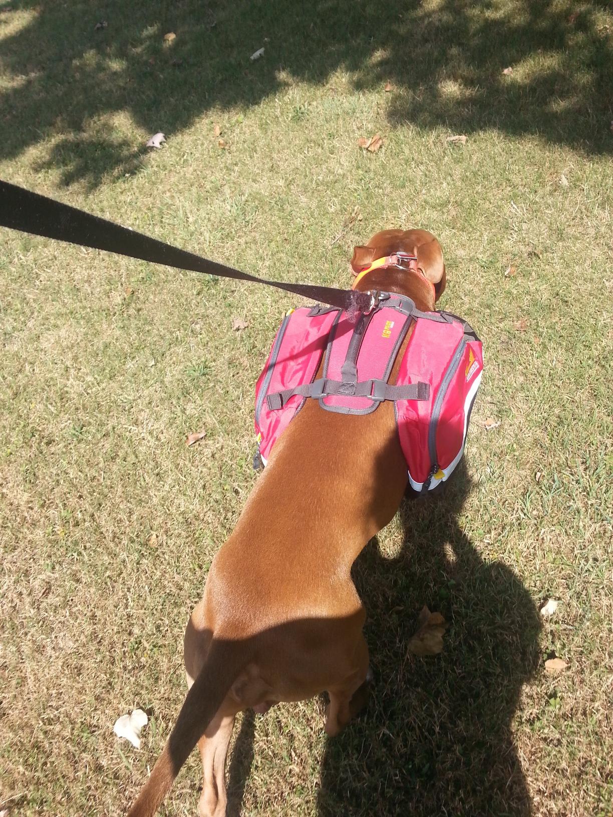 Mountainsmith K-9 Pack customer photo 1