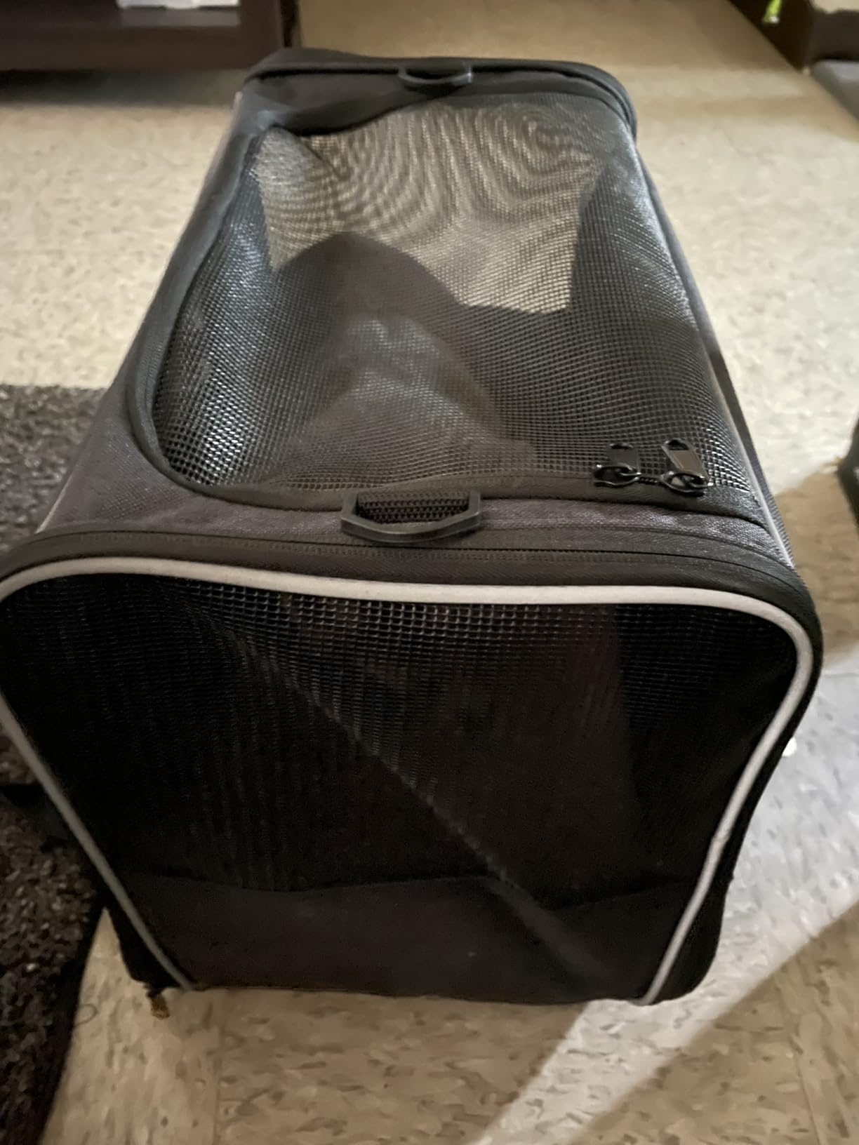 Morpilot Cat Carrier - Cat Carrier Soft for Medium or Large Cats up to 20lbs, with Dual-Sided Cushion, Secure Buckle and Foldable Bowl, Dog Carriers for Small Dogs - Pet Carrier (Dark Gray) customer photo 1