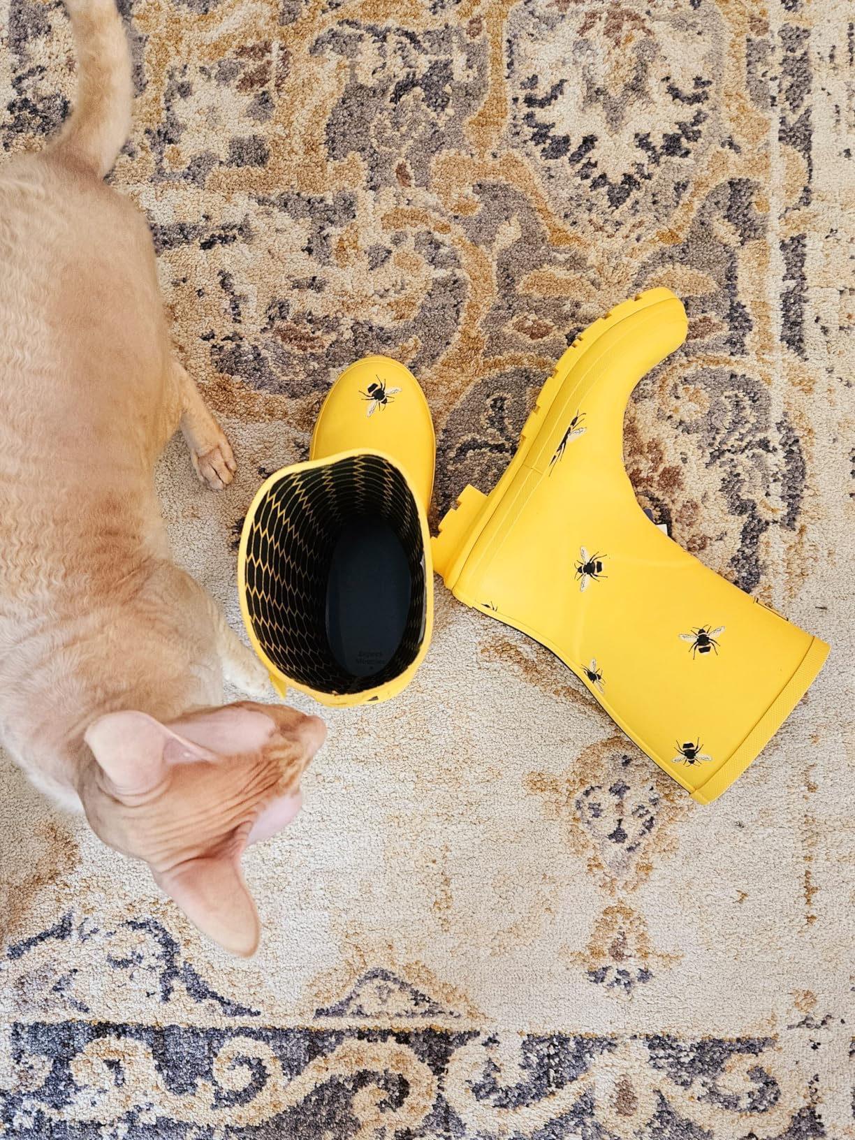 Joules womens WellingtonWelly Boot customer photo 1