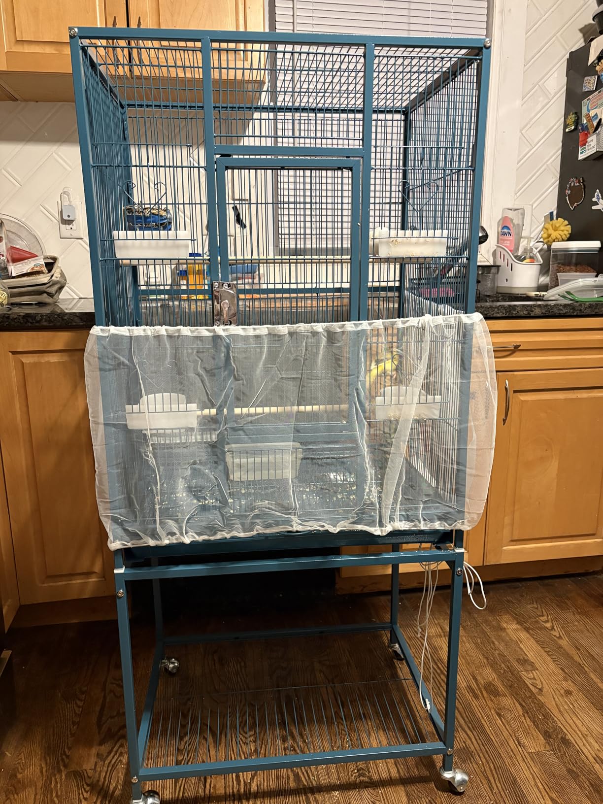 Yaheetech 54-inch Wrought Iron Standing Large Parrot Parakeet Flight Bird Cage for Small Parrot Sun Parakeet Green Cheek Conure Lovebird Budgie Finch Canary Bird Cage with Stand customer photo 1