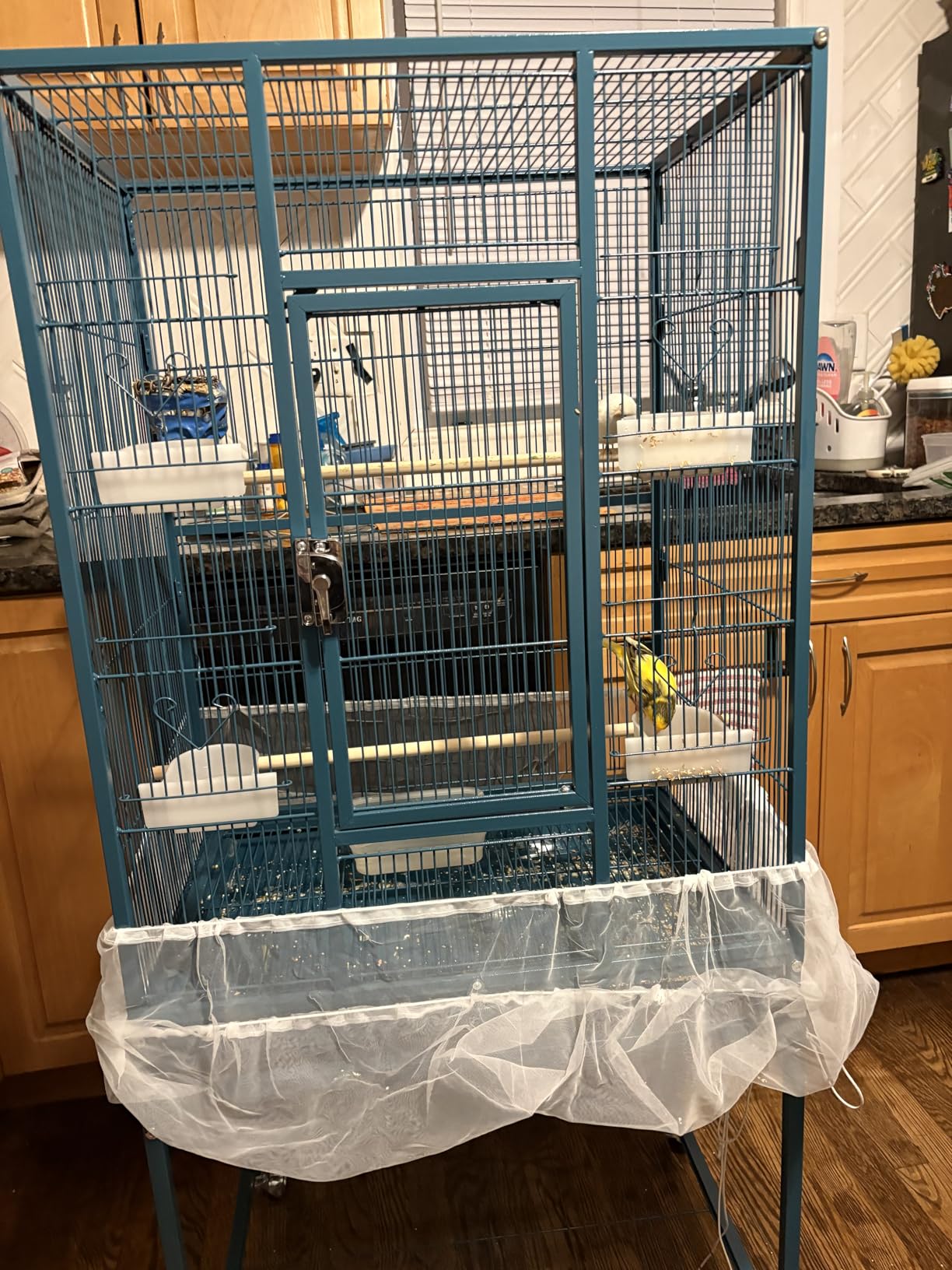 Yaheetech 54-inch Wrought Iron Standing Large Parrot Parakeet Flight Bird Cage for Small Parrot Sun Parakeet Green Cheek Conure Lovebird Budgie Finch Canary Bird Cage with Stand customer photo 2