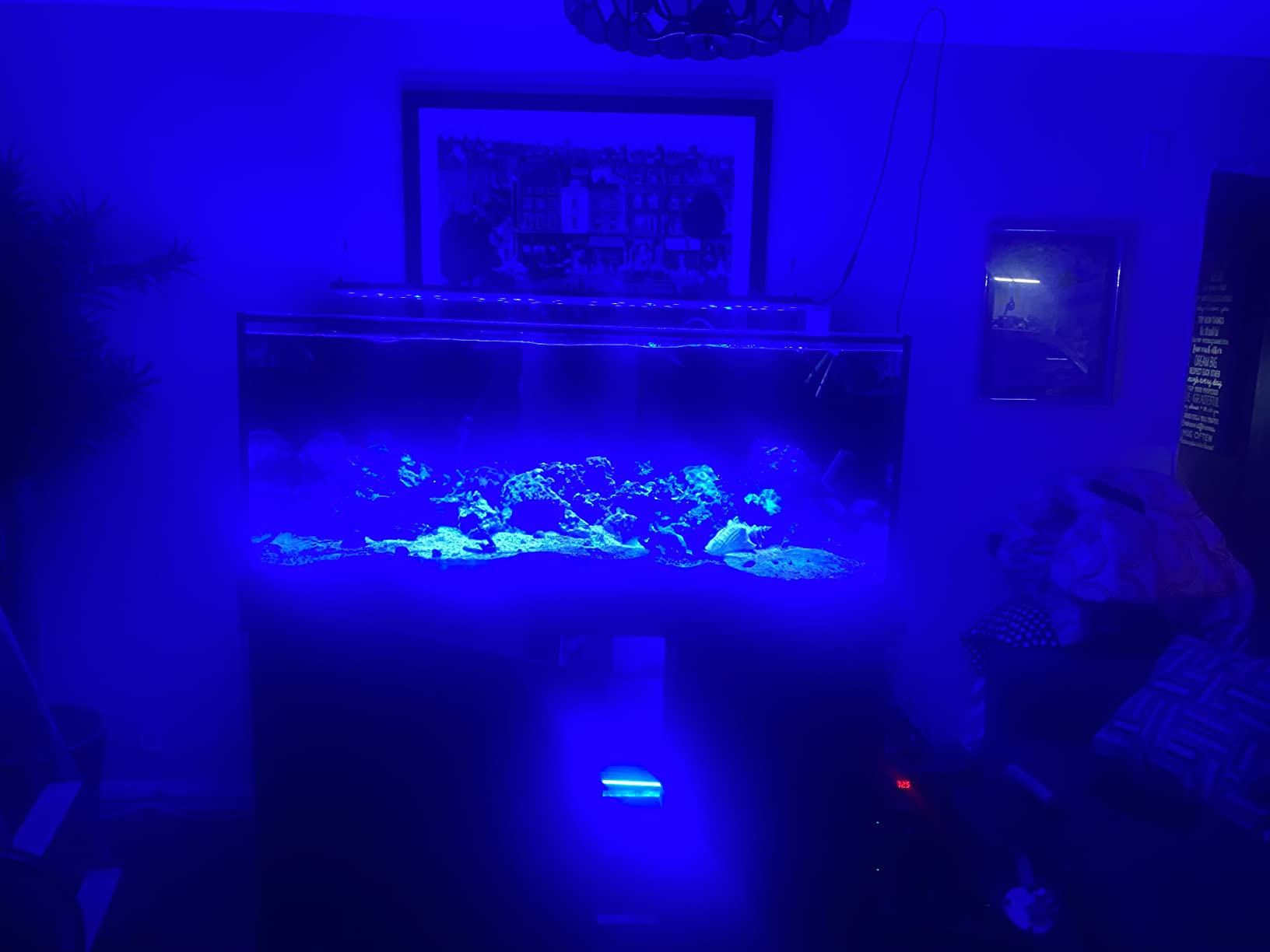 SC Aquariums 150 Gallon Starfire Glass Aquarium 60x24x24 12mm Eurobraced with Built-in Overflow Box customer photo 1
