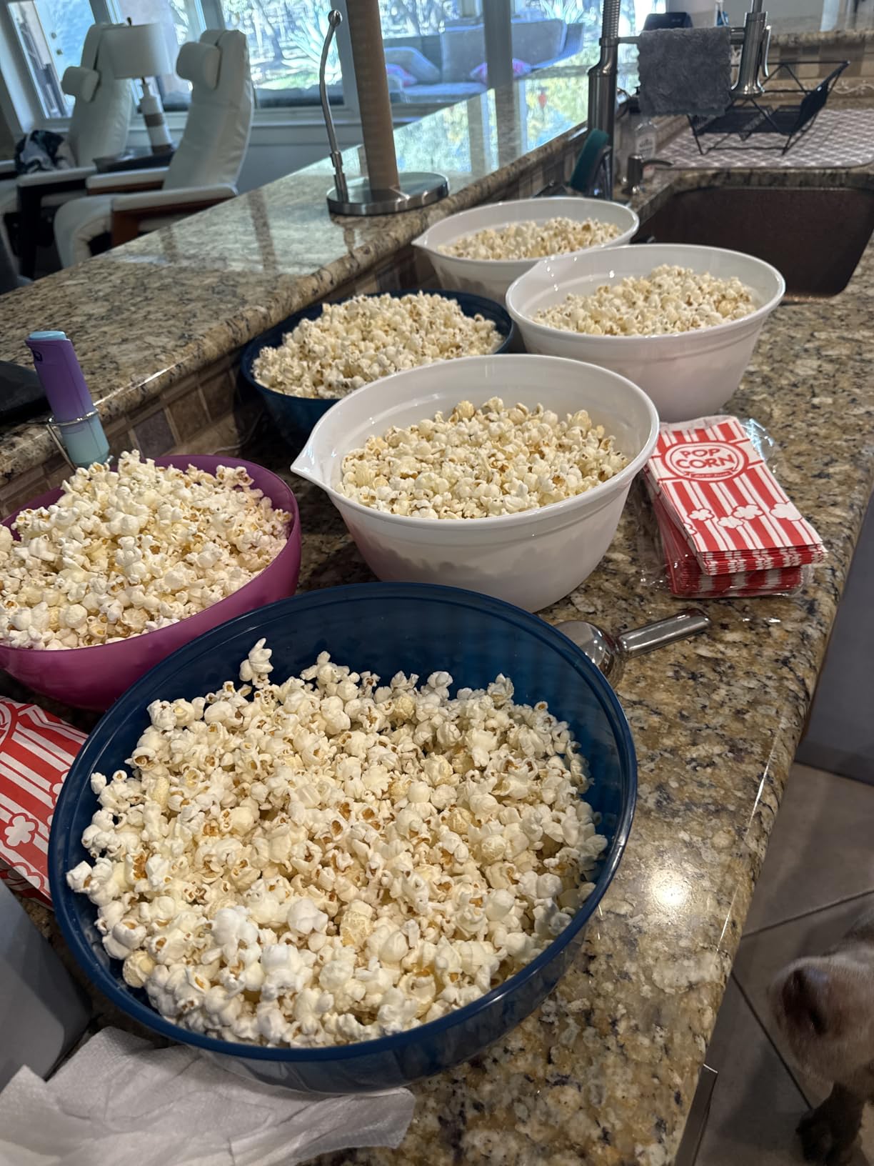 DASH Fresh Pop Popcorn Maker - Oil-Free, Air Popcorn Popper - With Measuring Cup & Recipe Guide - Perfect for Movie Nights - 16 Cups, Red customer photo 2