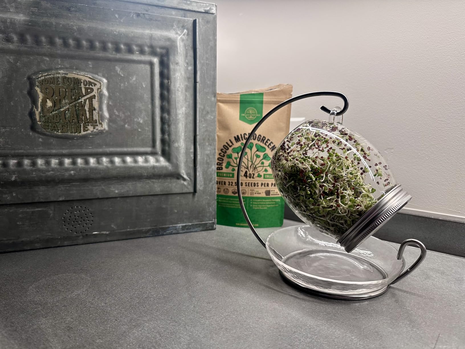 Premium Sprouting Jar Kit - Unique 30 oz Wide Mouth Sprouting Jar, Stand, Tray and 316 Stainless Screen Lid | Decorative Indoor Seed Sprouter and Germinator (1 Kit) customer photo 2