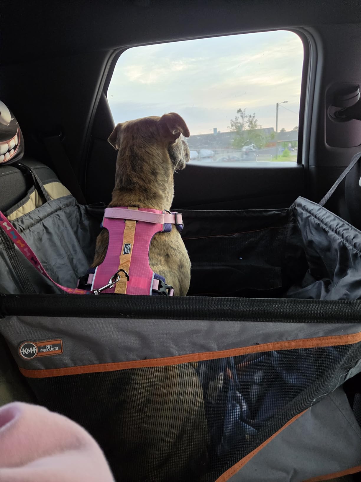 K&H Pet Products Buckle N Go Dog Car Seat for Large Dogs, Waterproof Fabric, Breathable Mesh Sides, Adjustable Seat Belt Leash, Carseat for Medium to Large Pets, Car Seat Cover - 21 X 19 X 19in customer photo 1