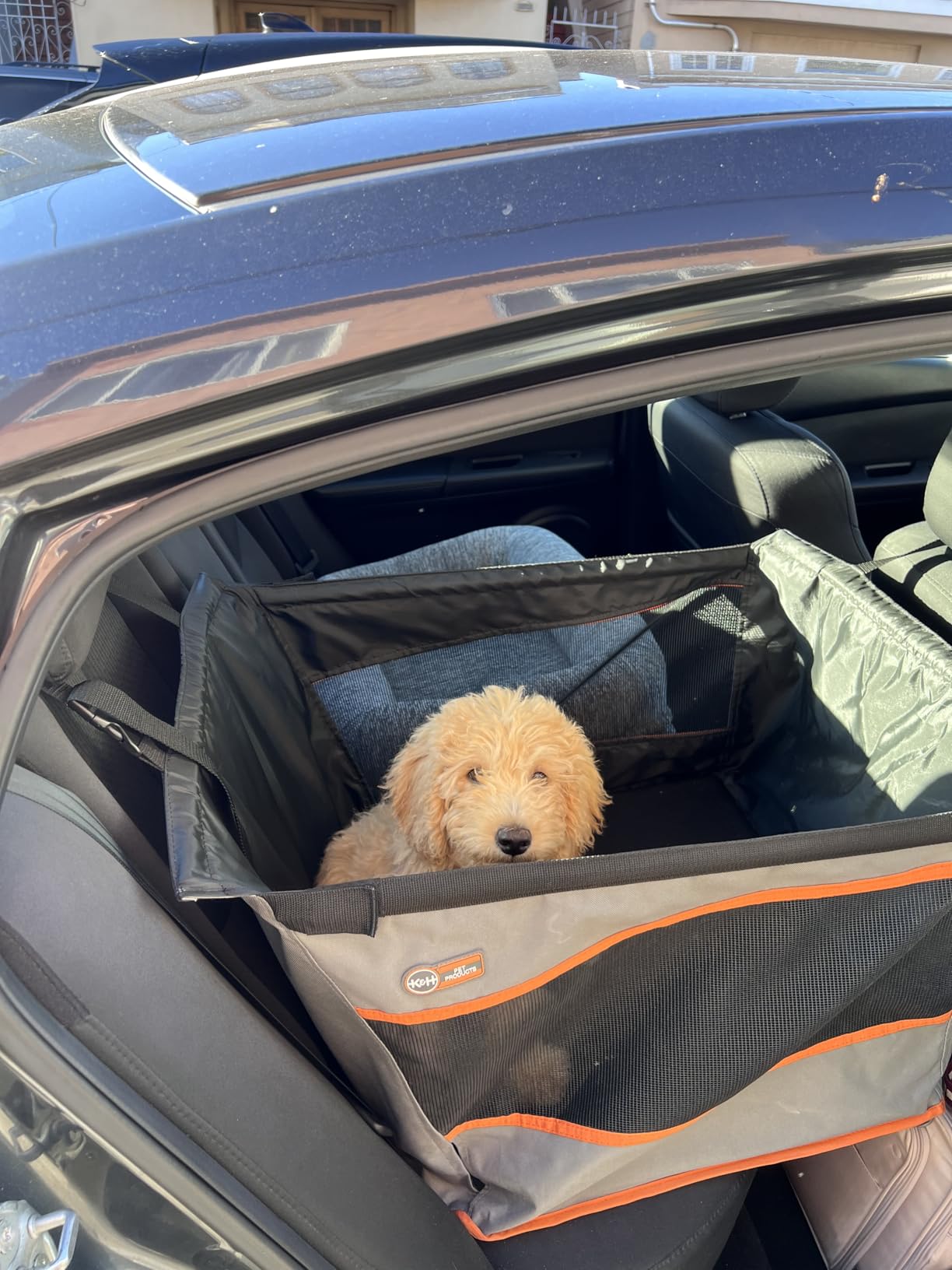 K&H Pet Products Buckle N Go Dog Car Seat for Large Dogs, Waterproof Fabric, Breathable Mesh Sides, Adjustable Seat Belt Leash, Carseat for Medium to Large Pets, Car Seat Cover - 21 X 19 X 19in customer photo 2