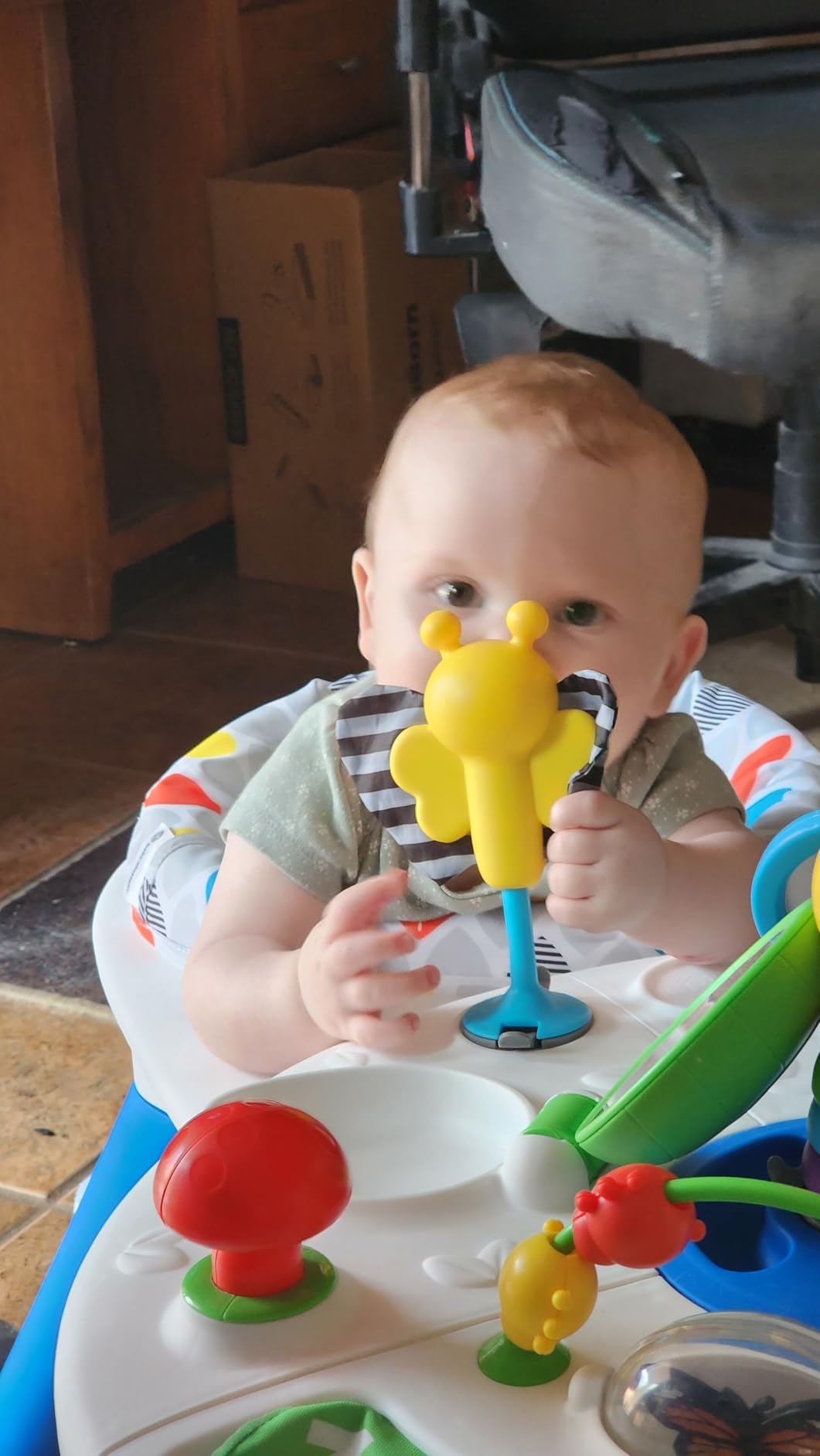 Baby Einstein Around We Grow 4-in-1 Walker, Discovery Activity Center and Table, Age 6 Months and up customer photo 1
