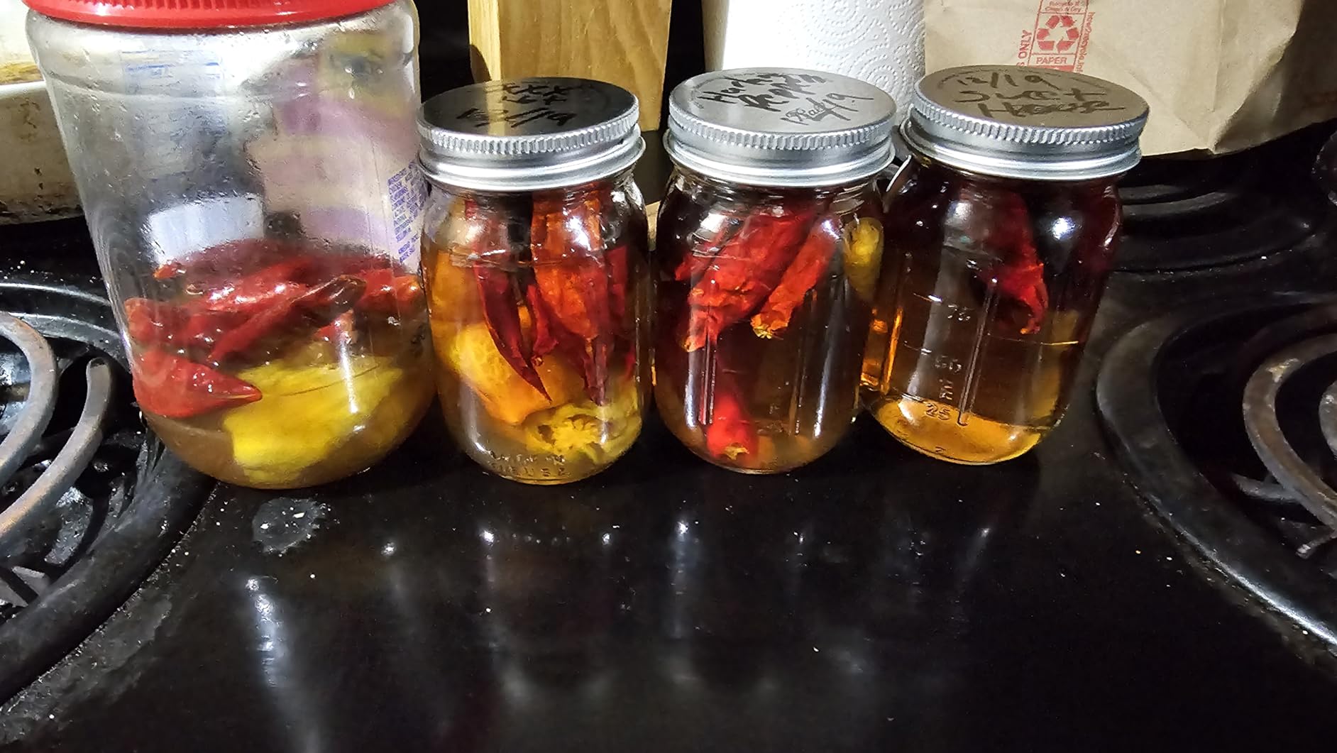 The Good Hurt Fuego DIY Hot Sauce Set, Includes 4 Skull Shaped Reusable Glass Jars, 2 Funnels, Seasonings, Gloves and Recipe Book customer photo 1