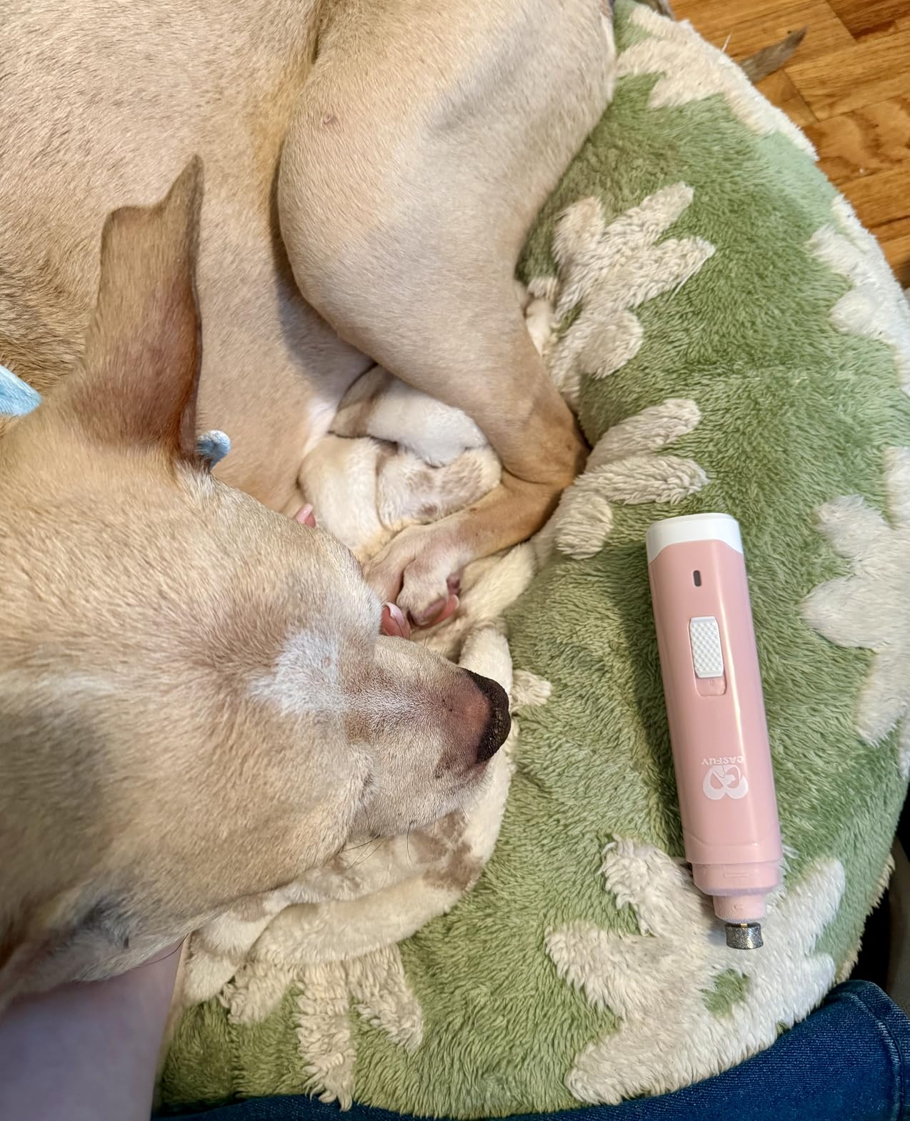 Casfuy Dog Nail Grinder Upgraded - Professional 2-Speed Whisper-Quiet Electric Pet Nail Trimmer Painless Paws Grooming & Smoothing for Small Medium Large Dogs & Cats customer photo 2