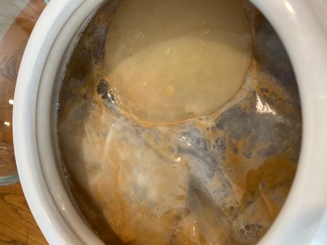 1 Gallon Jun Kombucha Starter Kit - Includes USDA Organic Jun SCOBY & Starter Tea + Ingredients To Start Brewing Your Own Jun Tea * Jar Not Included * customer photo 2