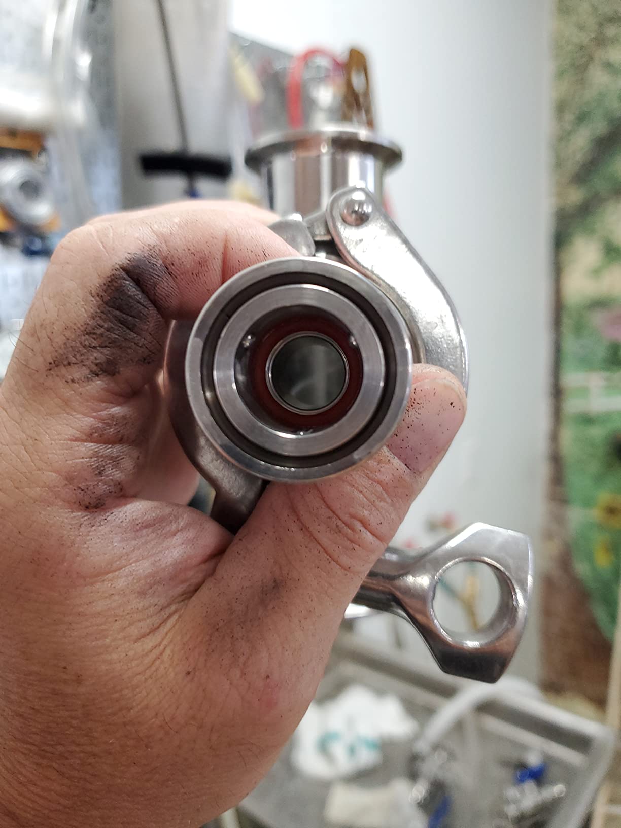 DERNORD Stainless Steel Quick Disconnect Set -Beer Brewing Tri Clover Connector Kit (Barb female/tri clamp male) customer photo 1